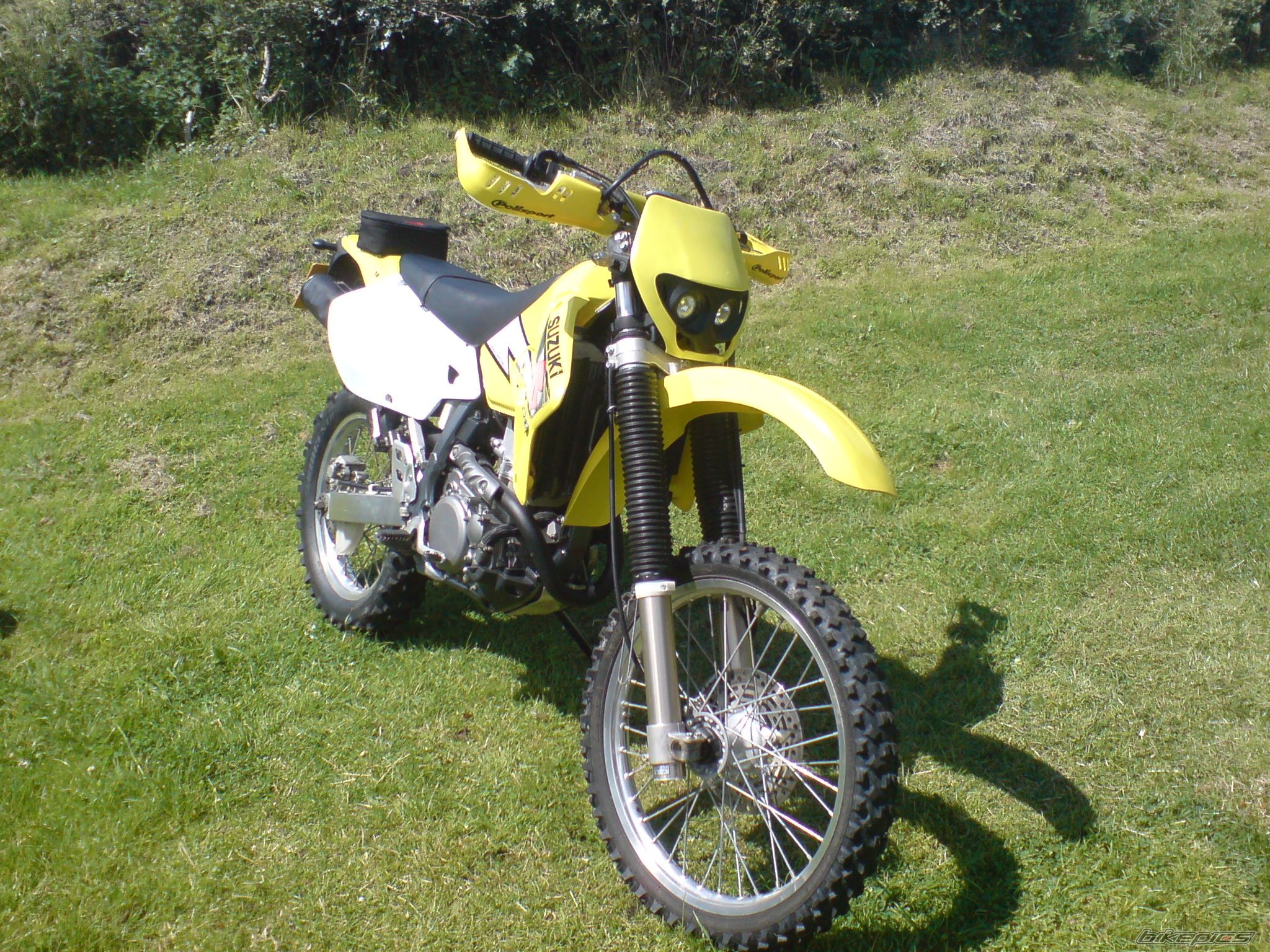 Photo 1008035