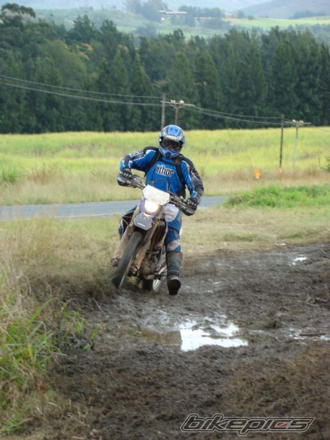 Bike Photo 1008094