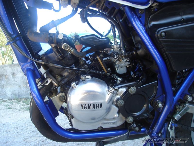 Photo 1008096