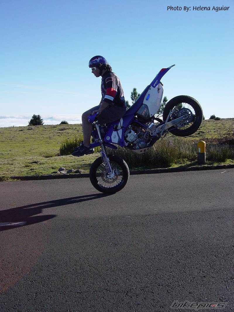 Photo 100810