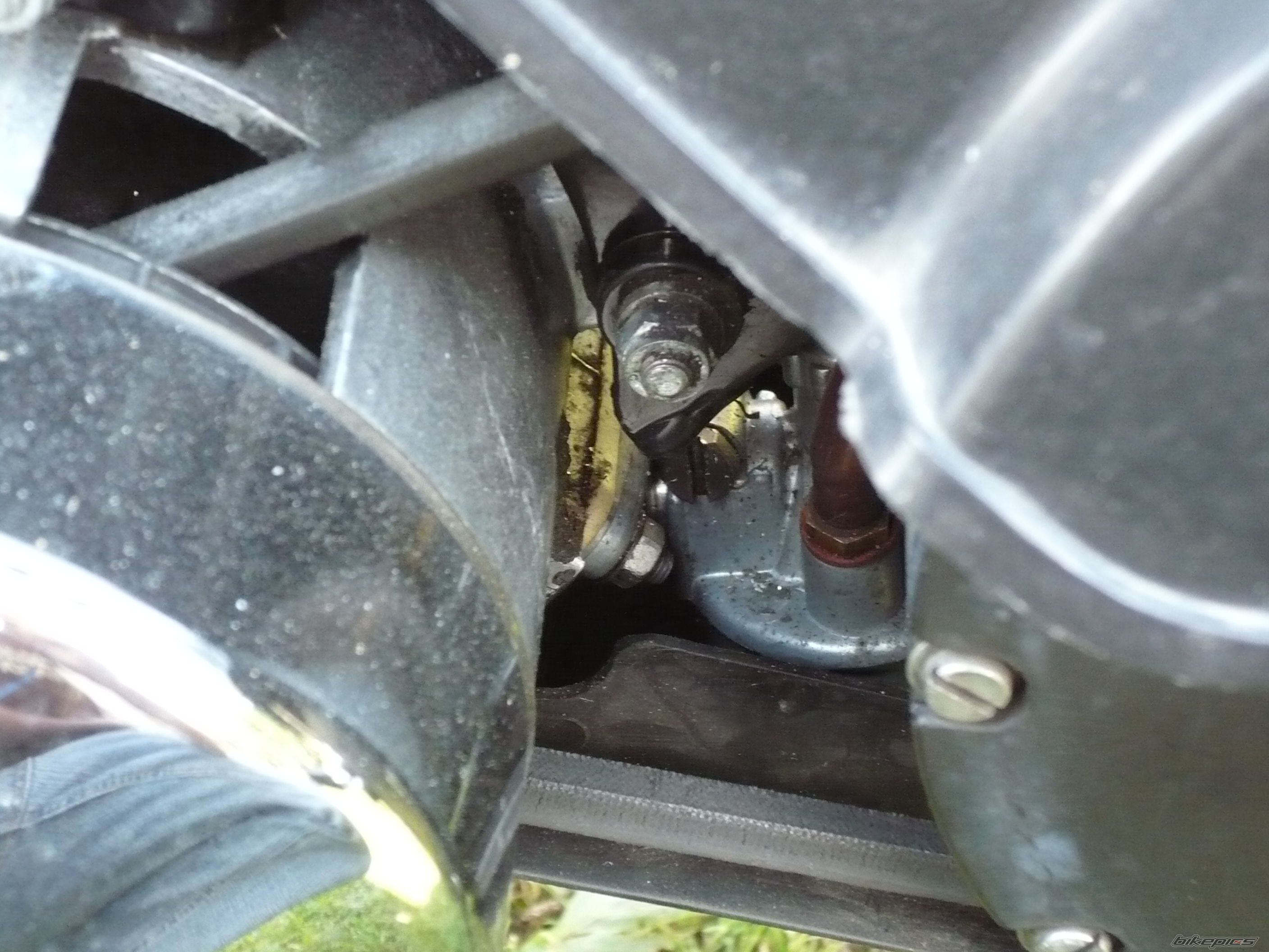 Photo 1008102