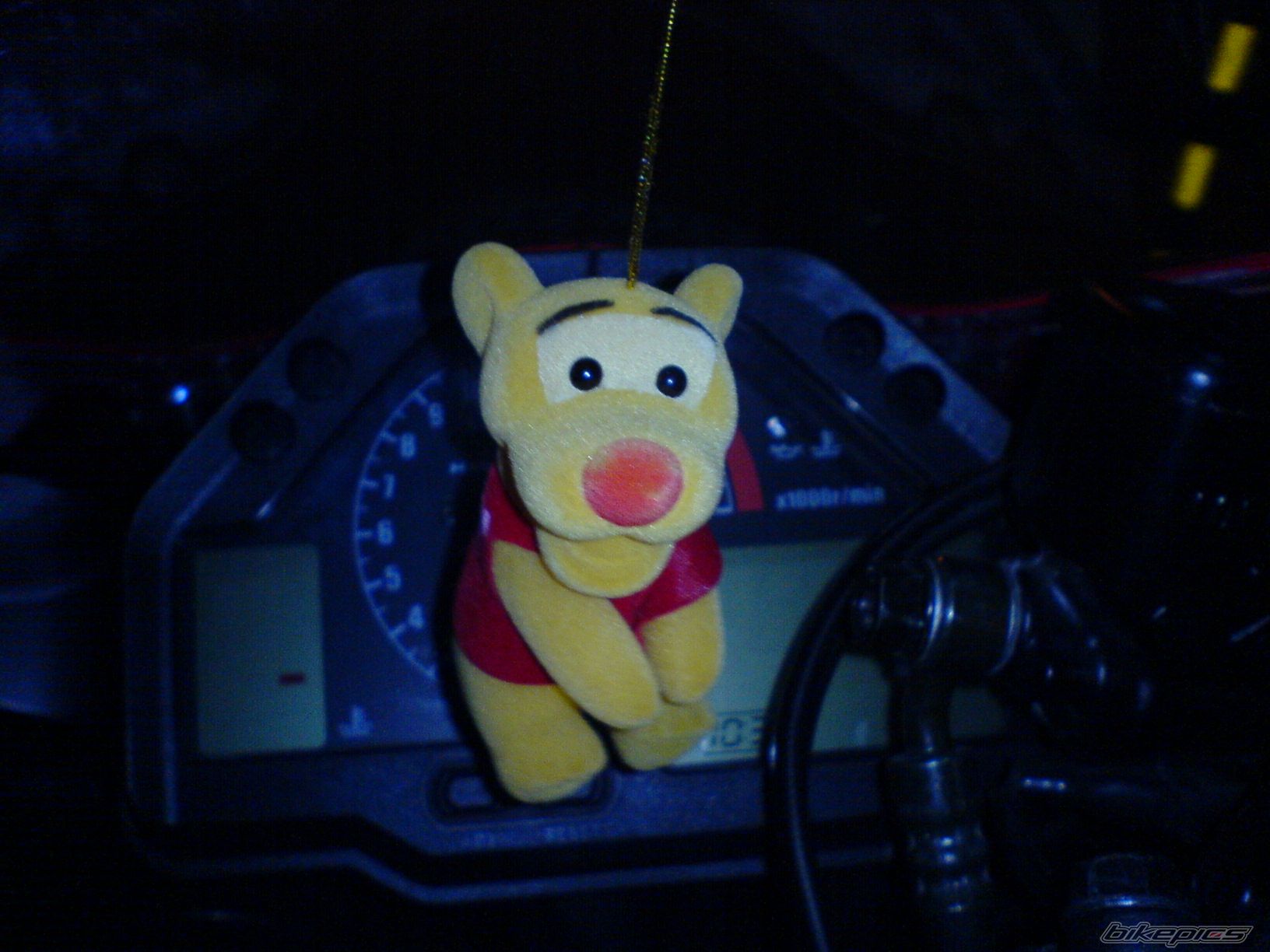 Photo 1008127