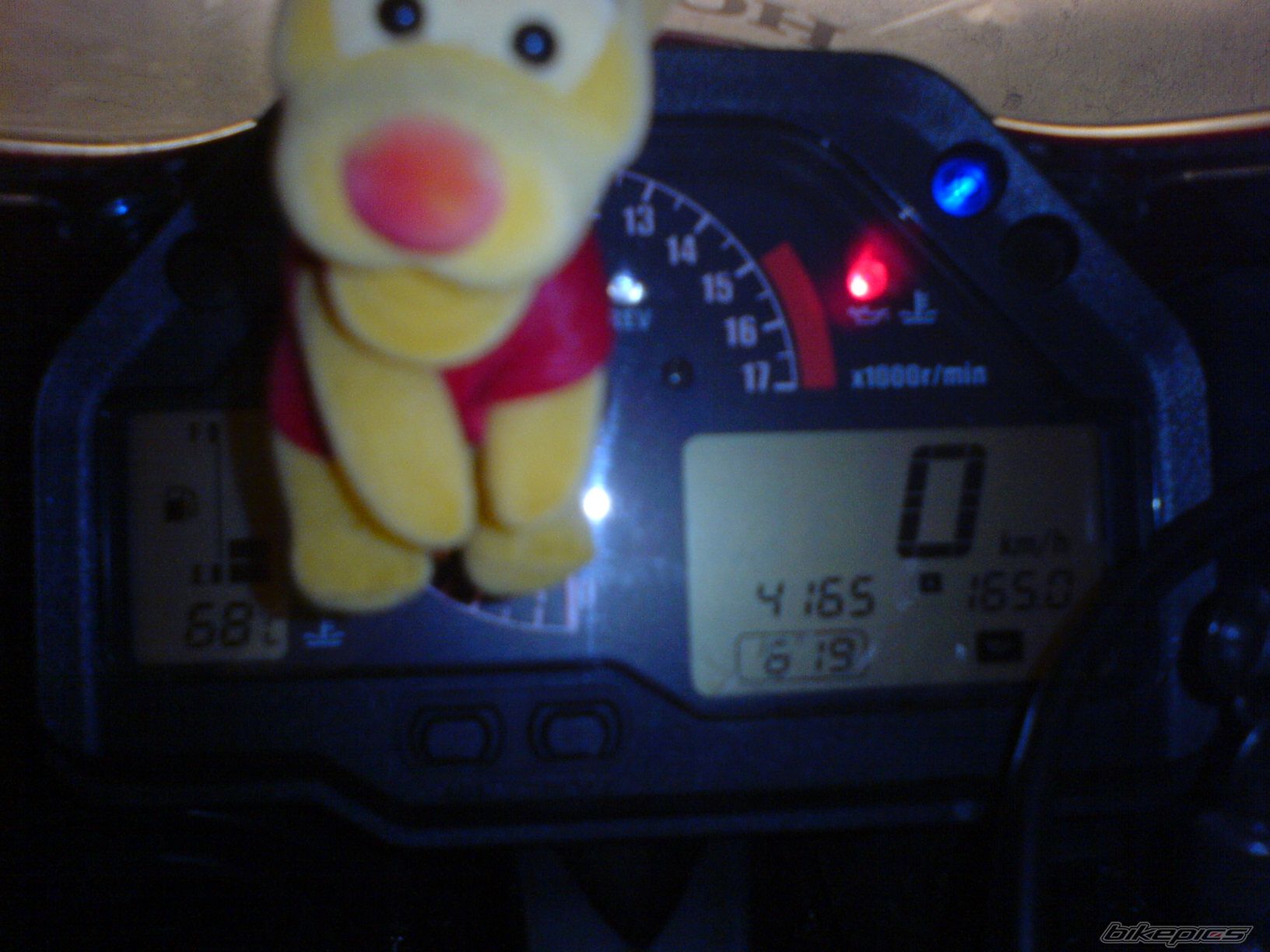 Photo 1008136