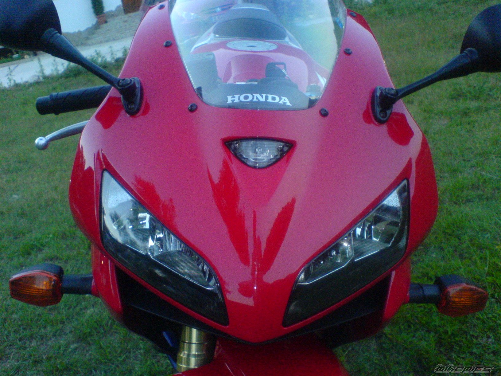 Photo 1008139