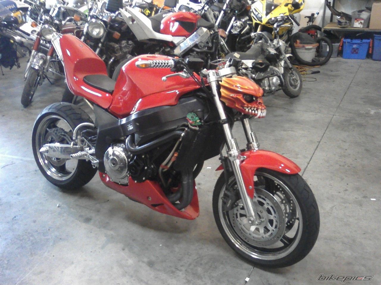 Photo 1008143