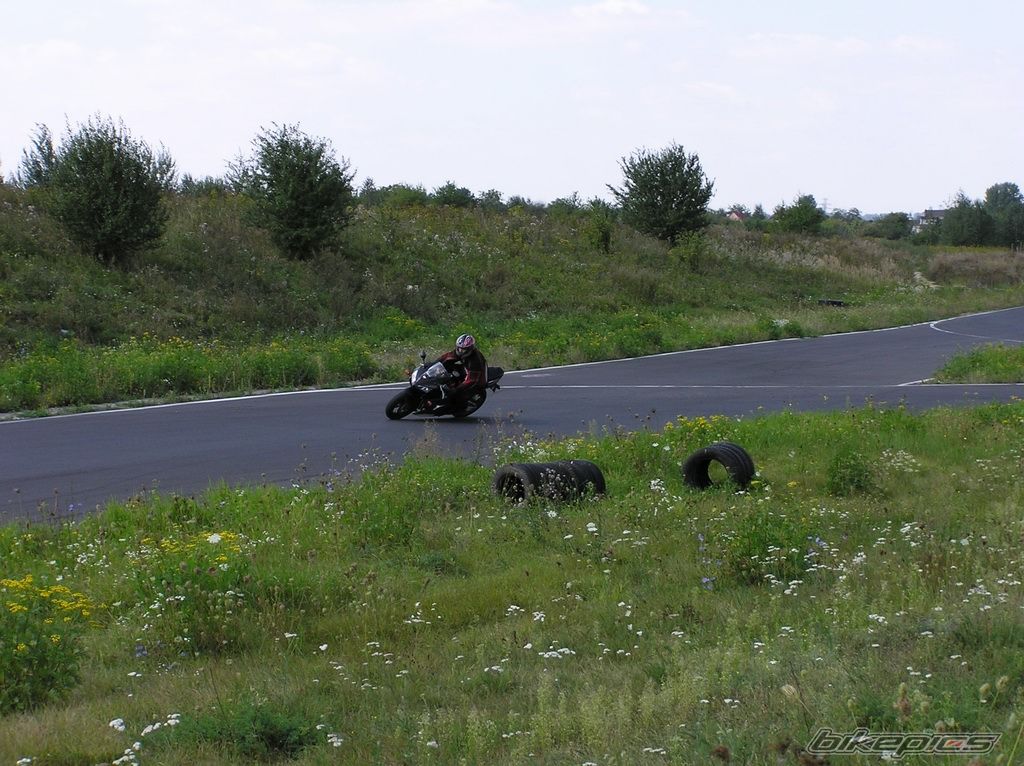 Photo 1008159