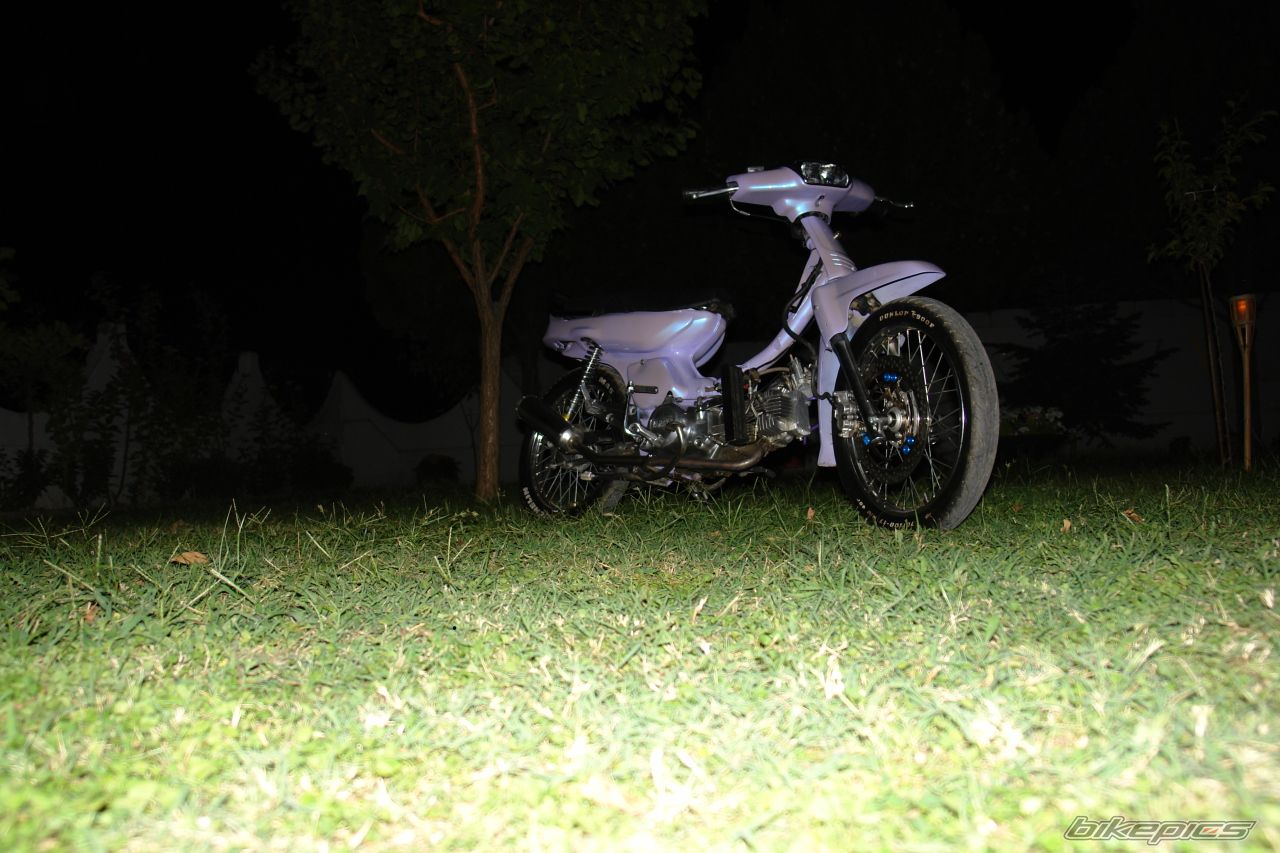 Photo 1008189