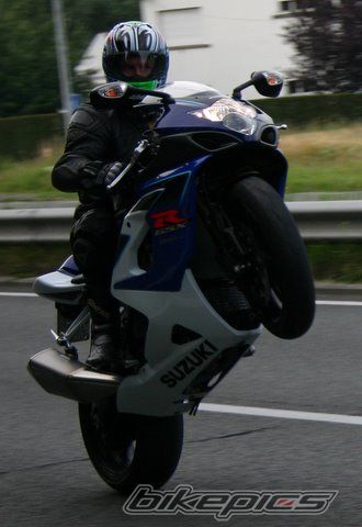 Photo 1008247