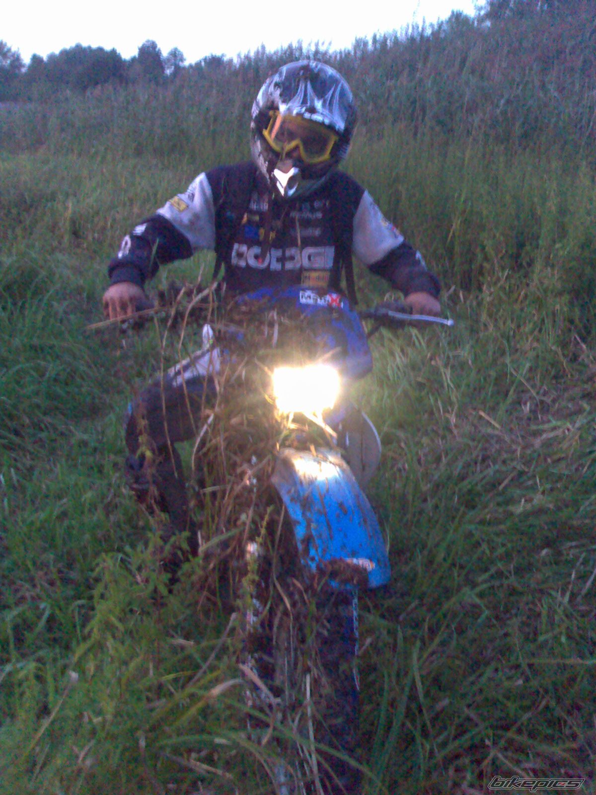 Photo 1008338