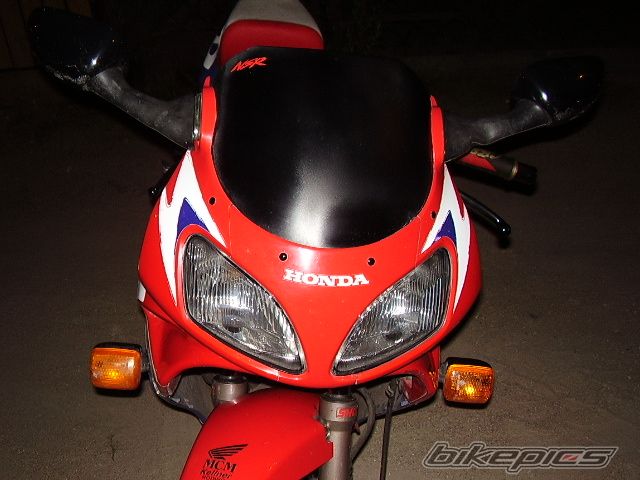 Photo 1008339