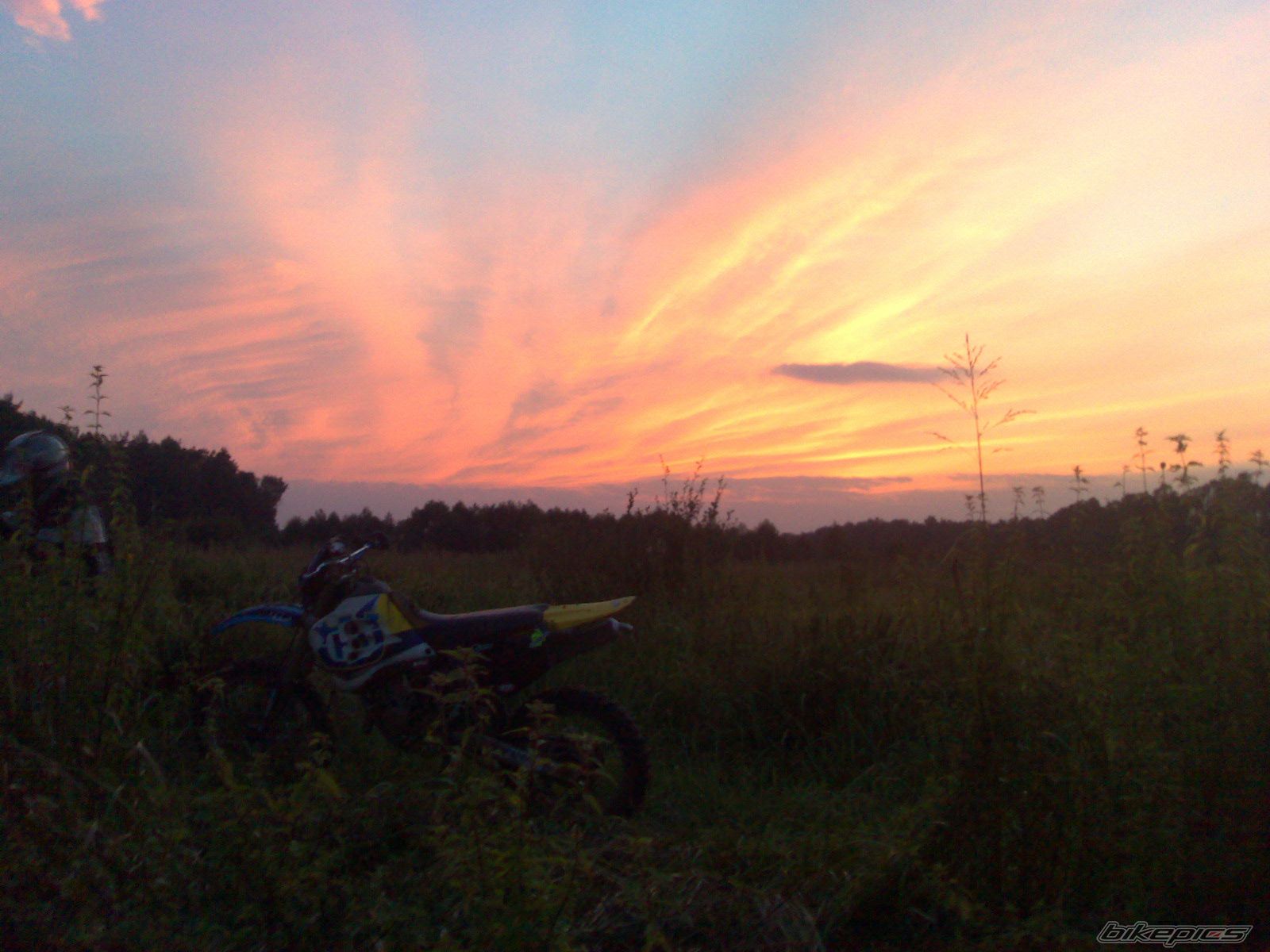 Photo 1008341