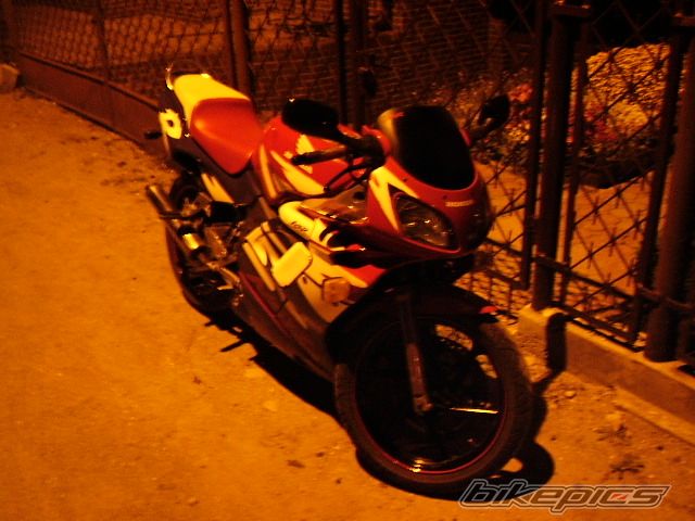 Photo 1008347