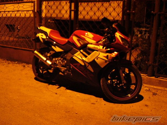 Photo 1008348