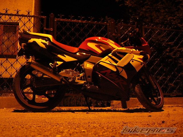 Photo 1008352