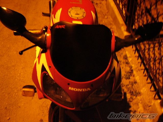Photo 1008356