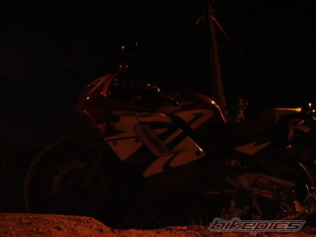 Photo 1008360