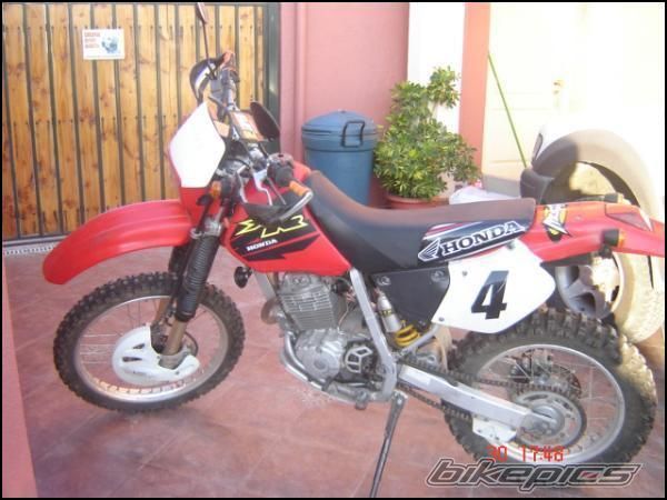 Photo 1008382