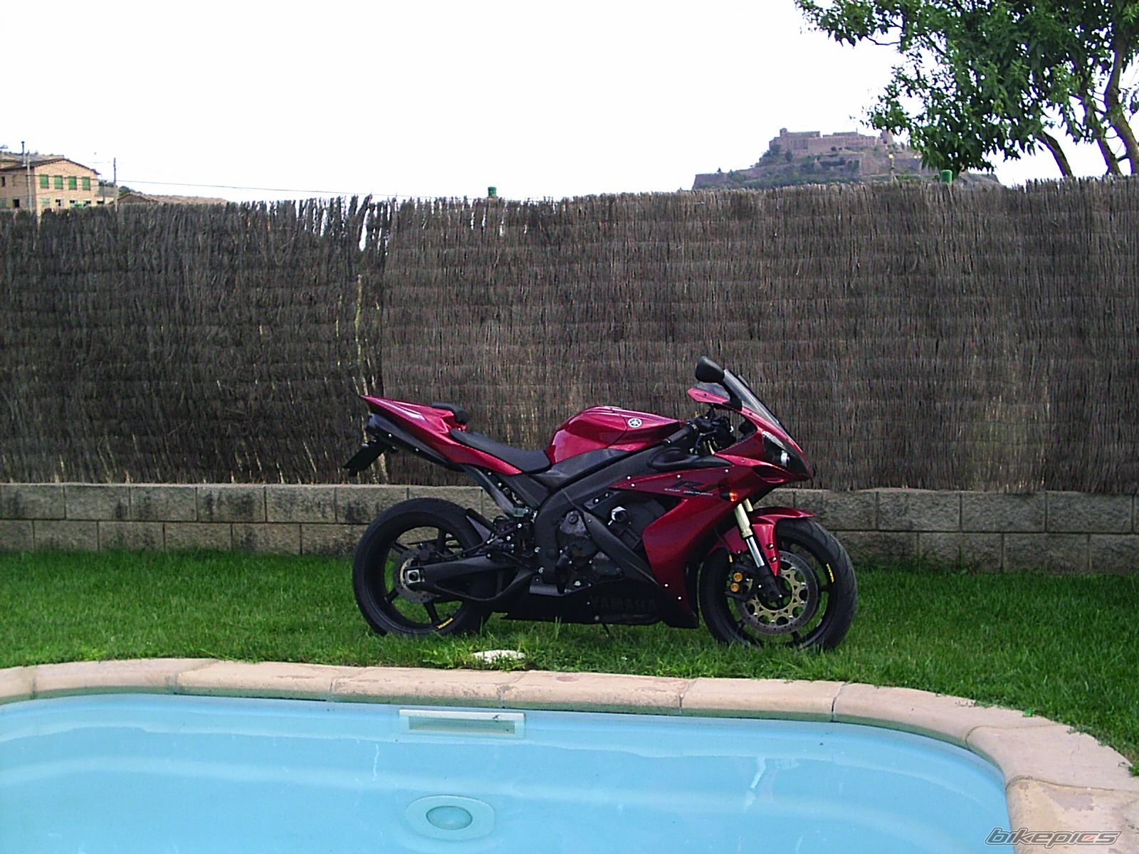 Photo 1008399