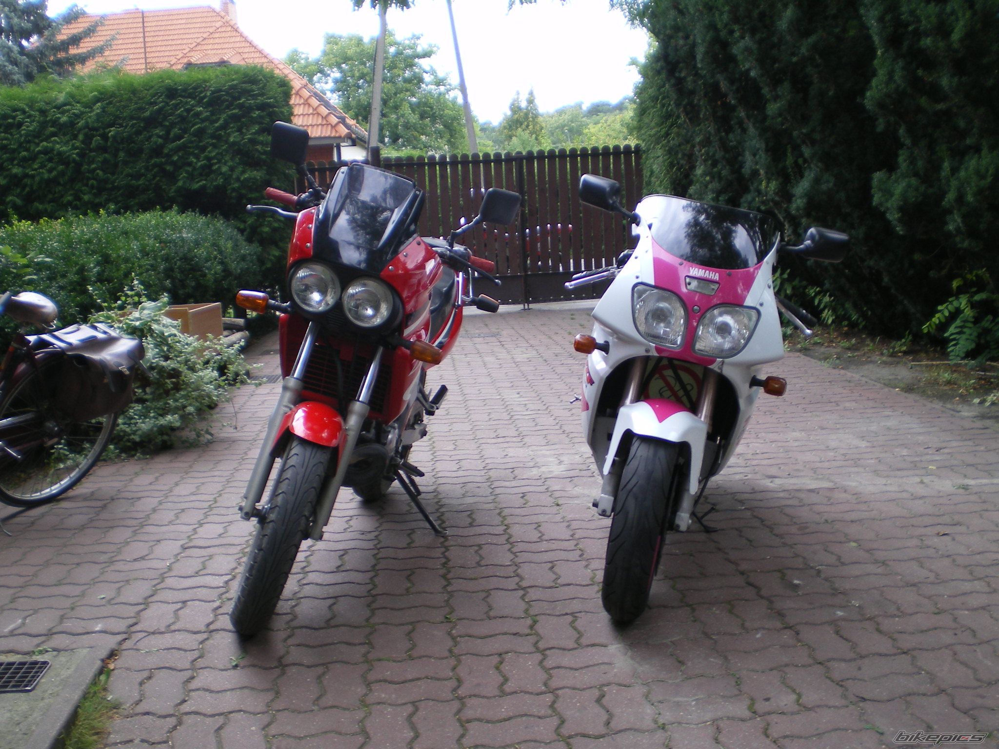 Photo 1008424