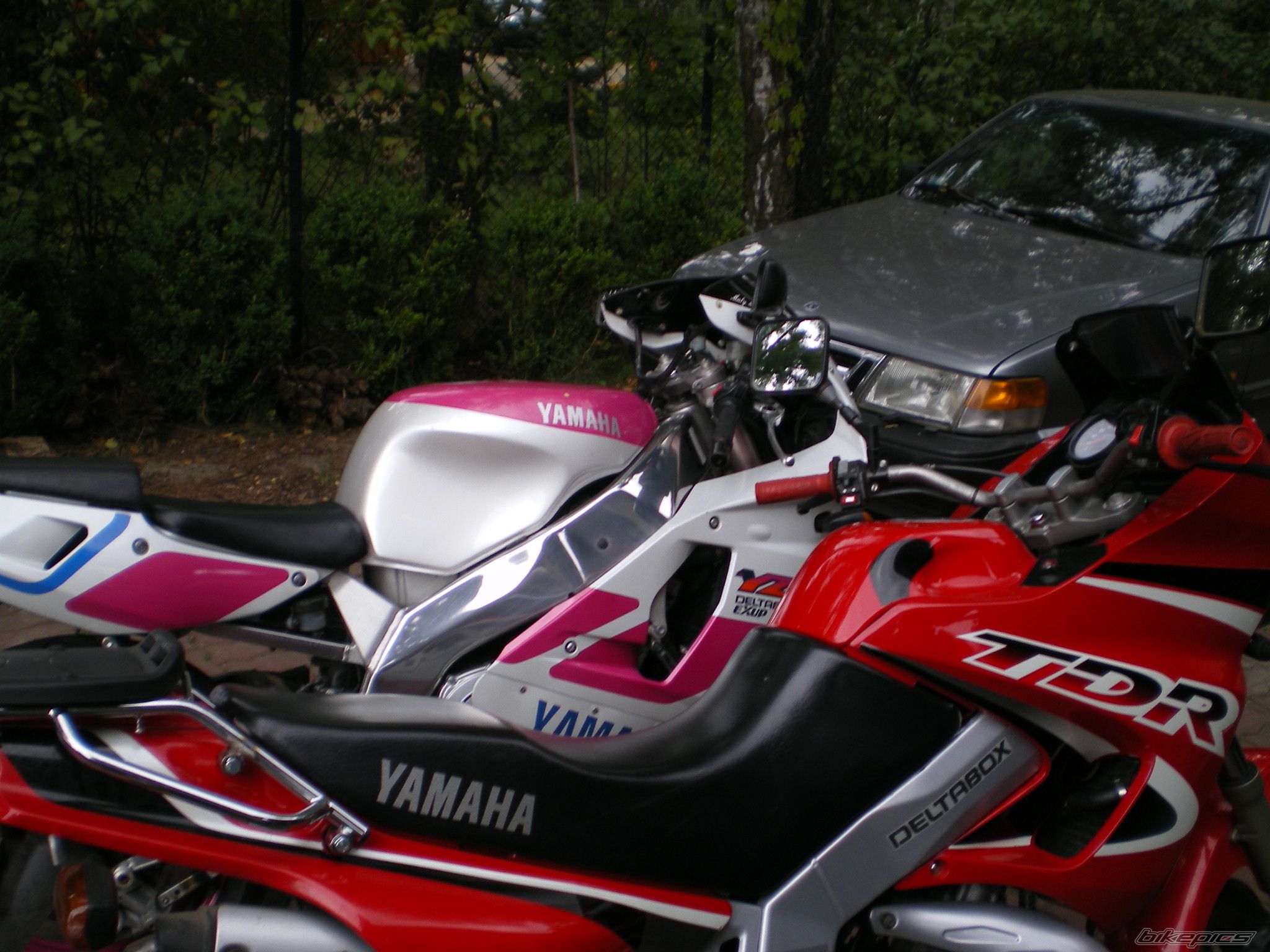 Photo 1008430