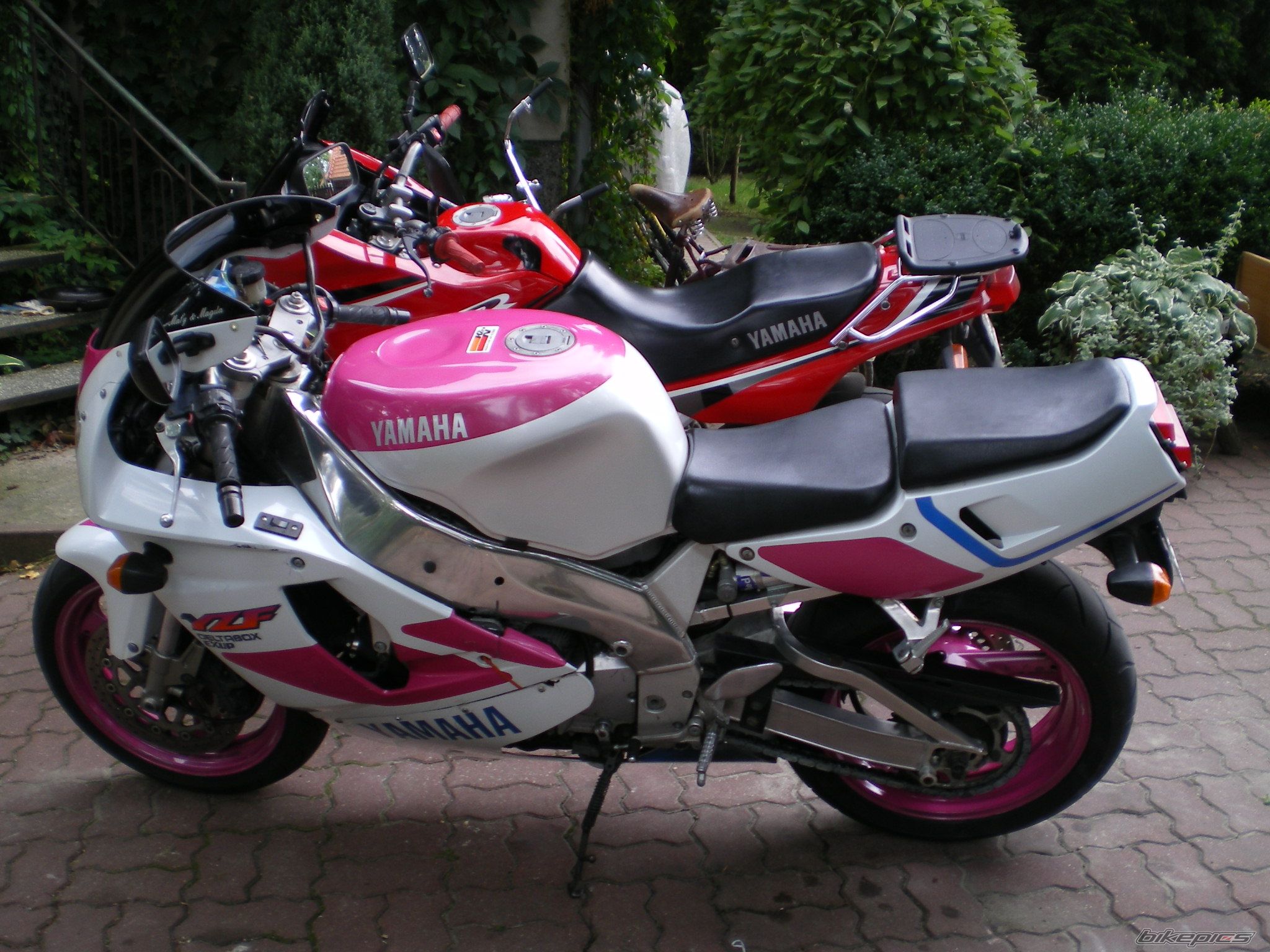 Photo 1008439