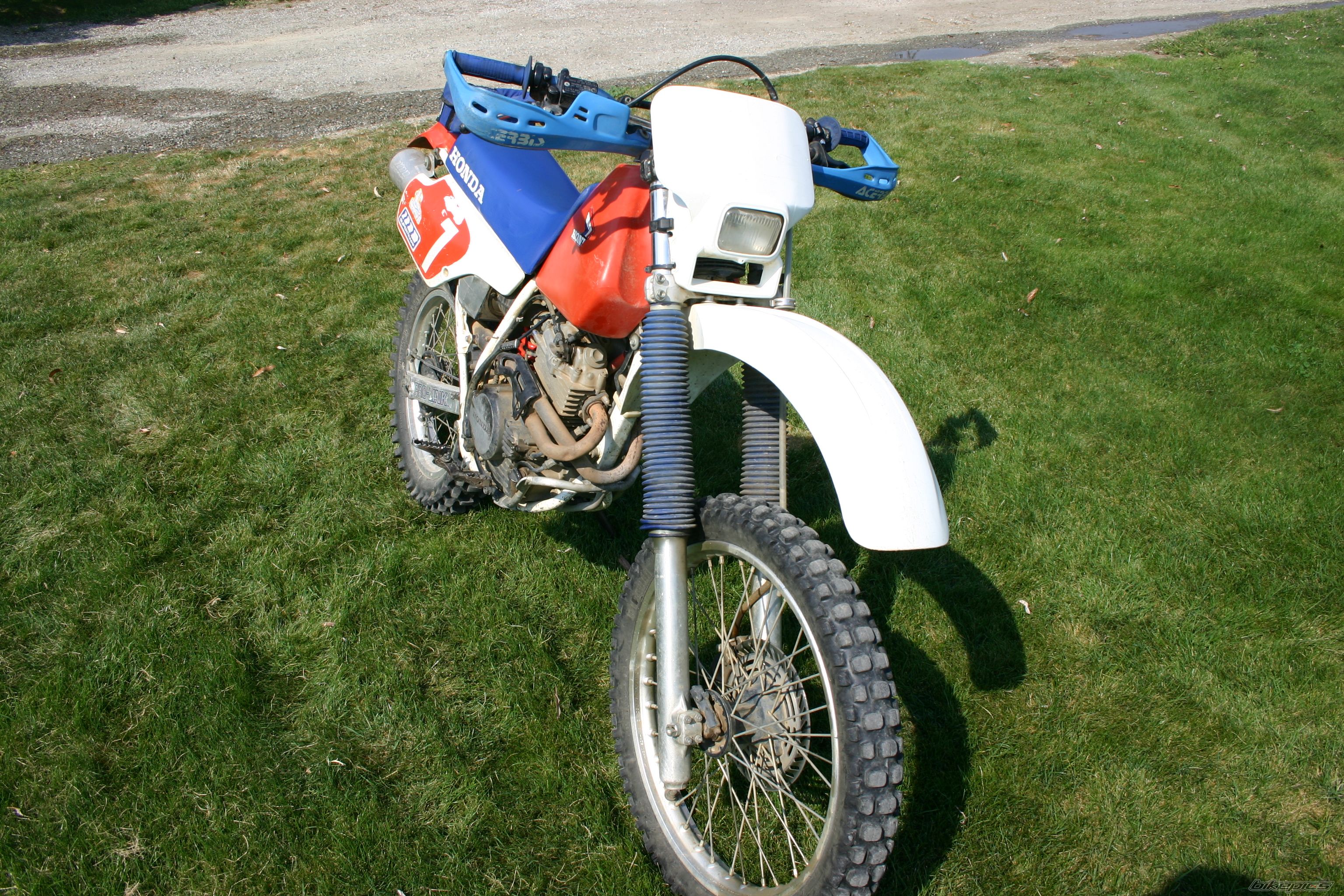 Photo 1008444
