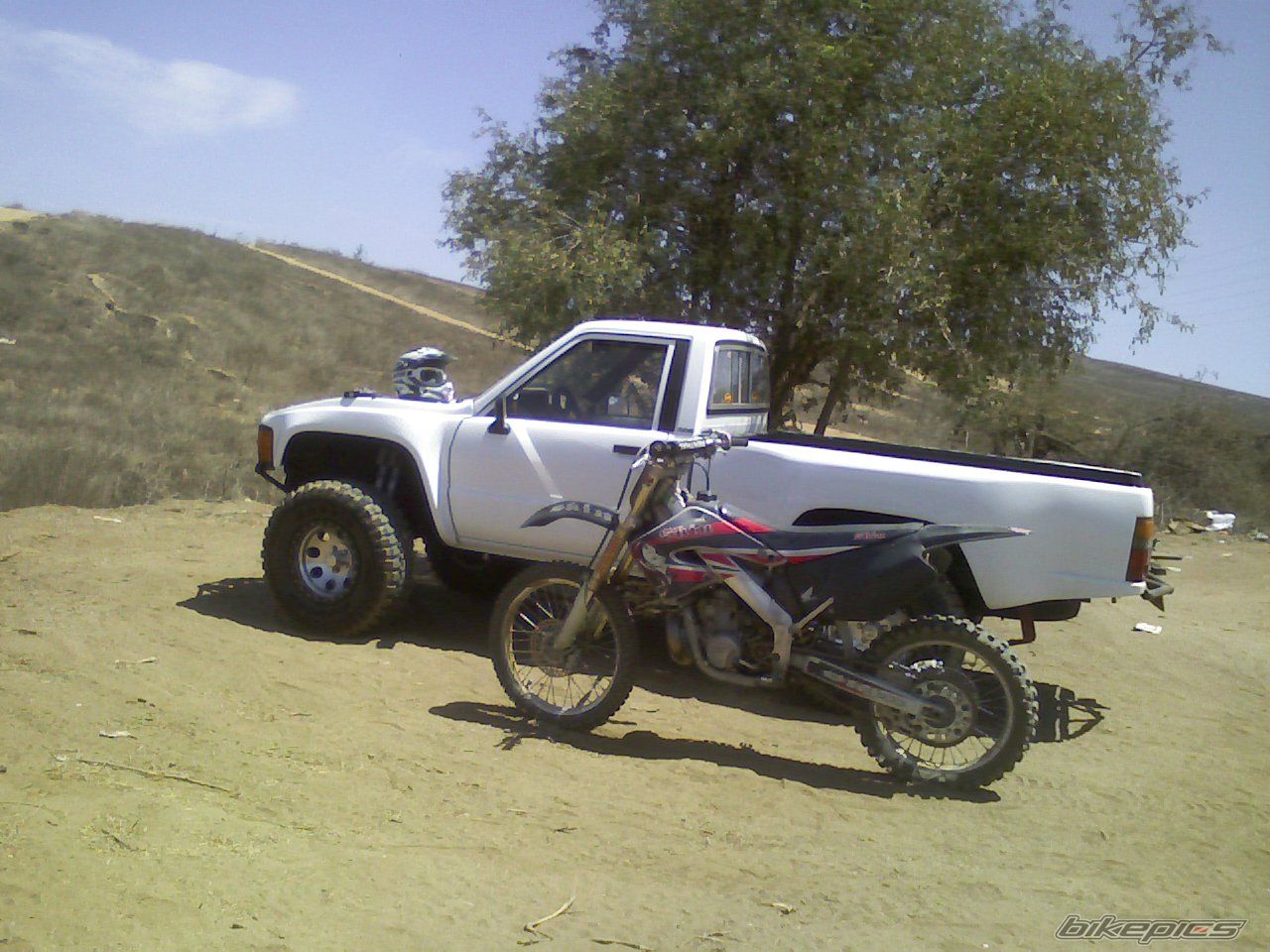 Photo 1008475