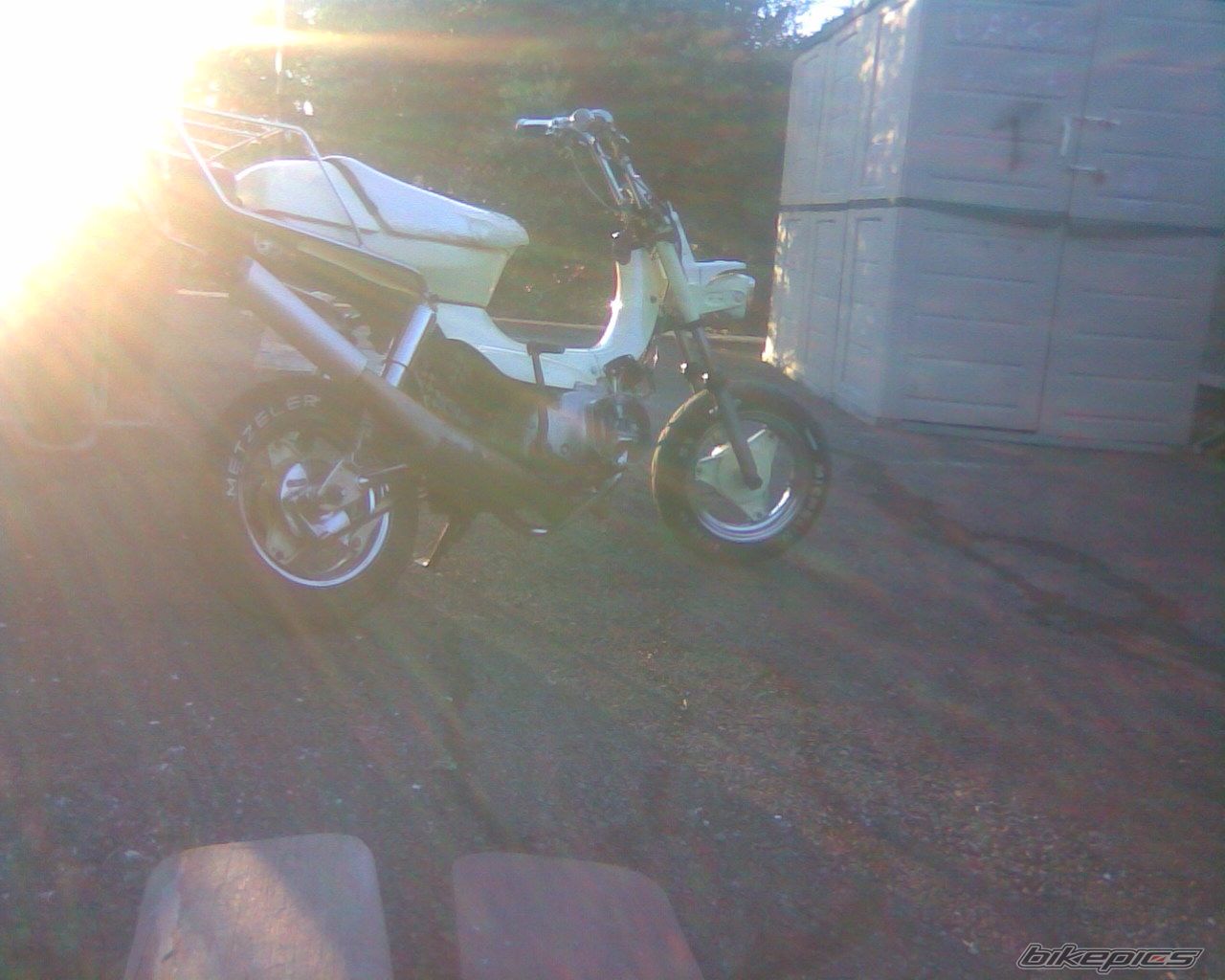 Photo 1008493