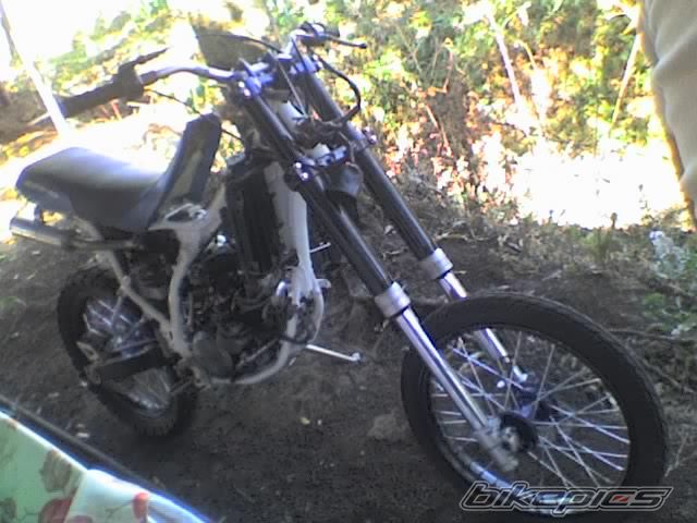 Photo 1008506