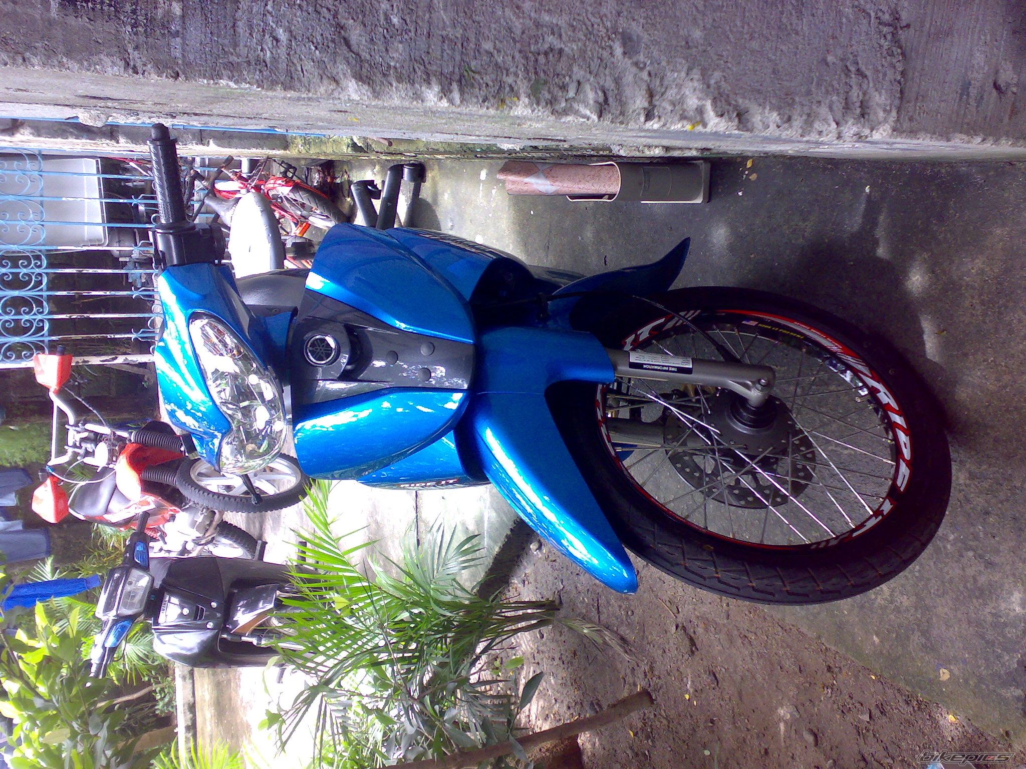 Photo 1008563