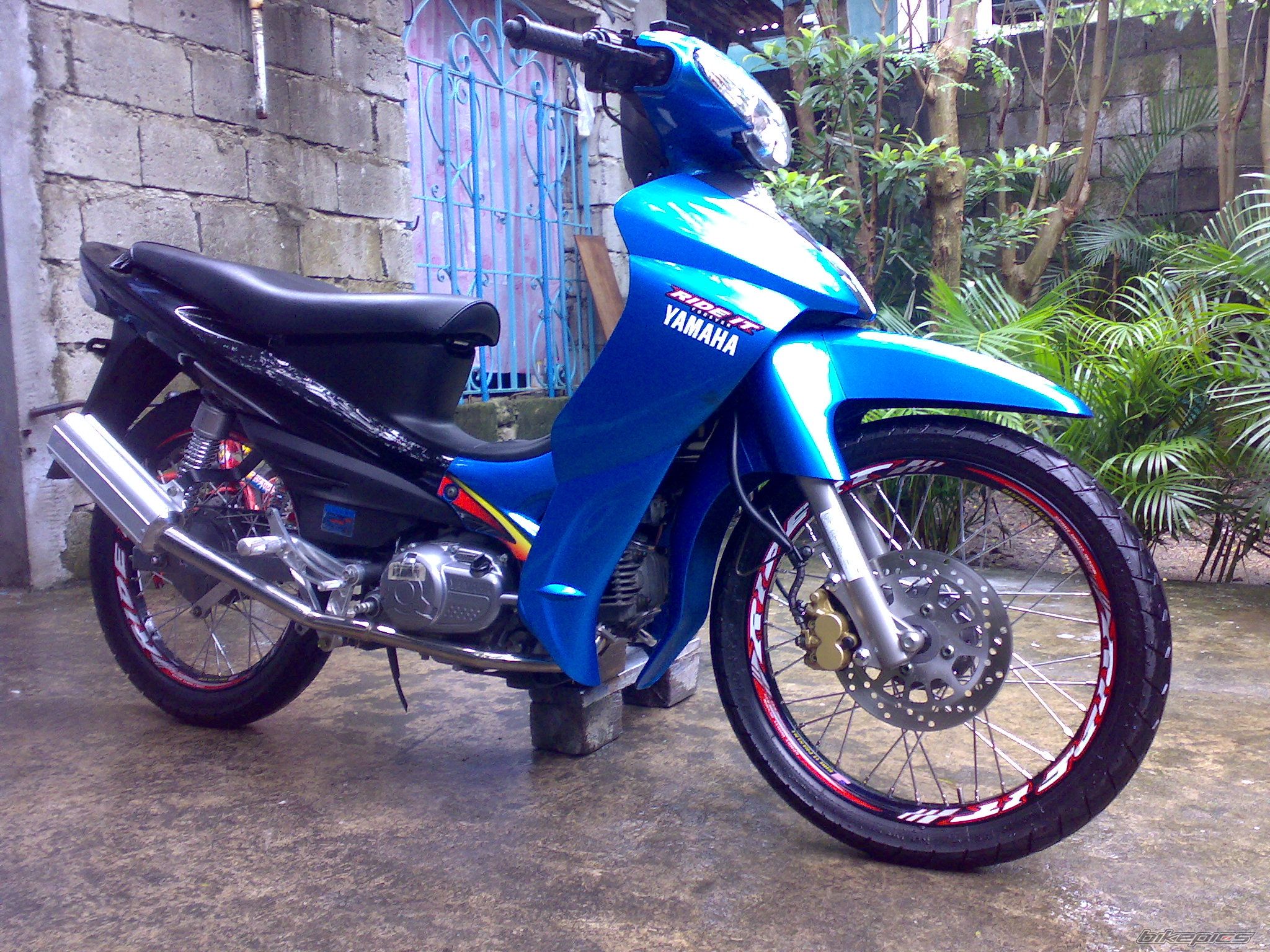 Photo 1008564
