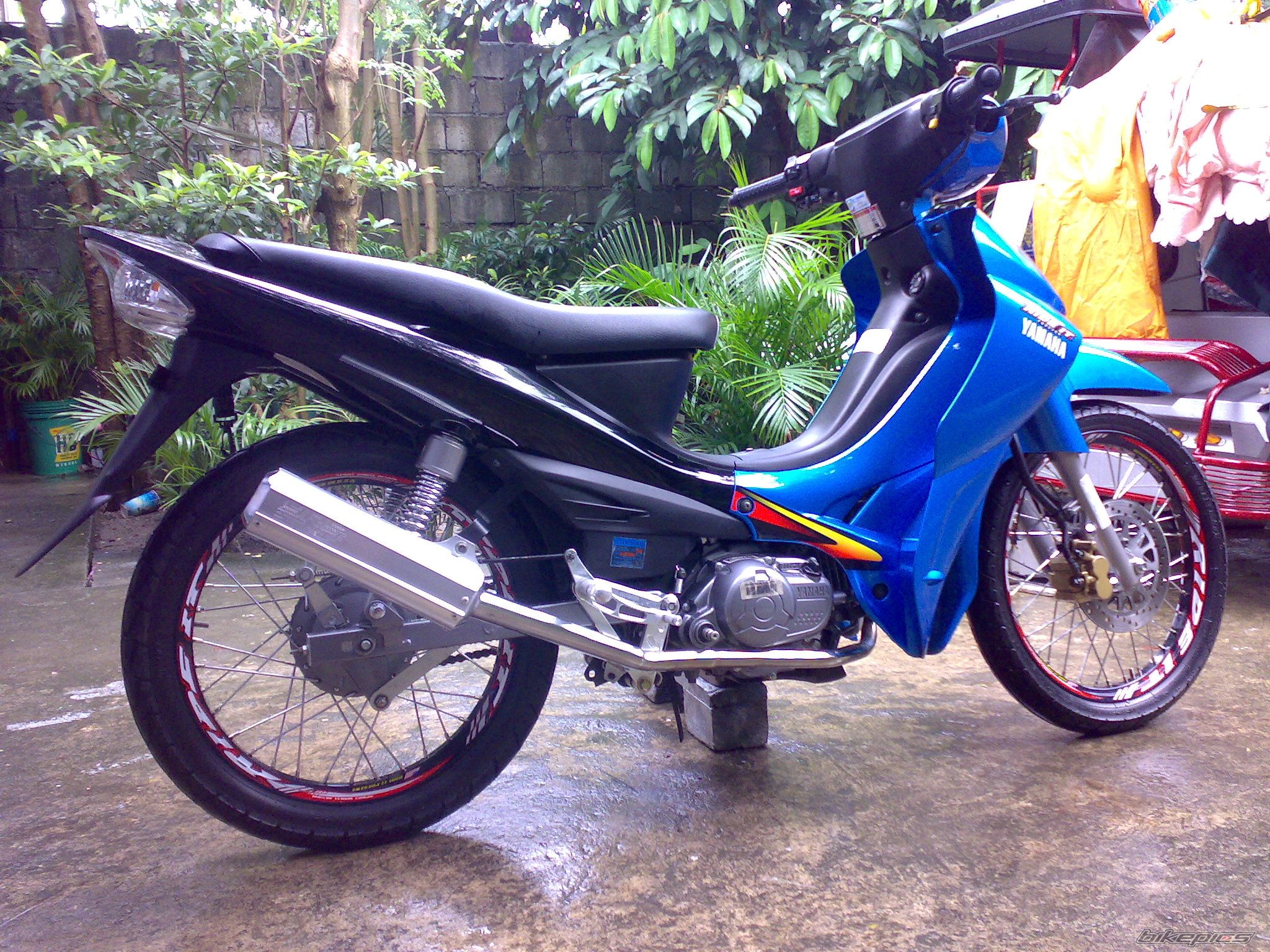 Photo 1008565