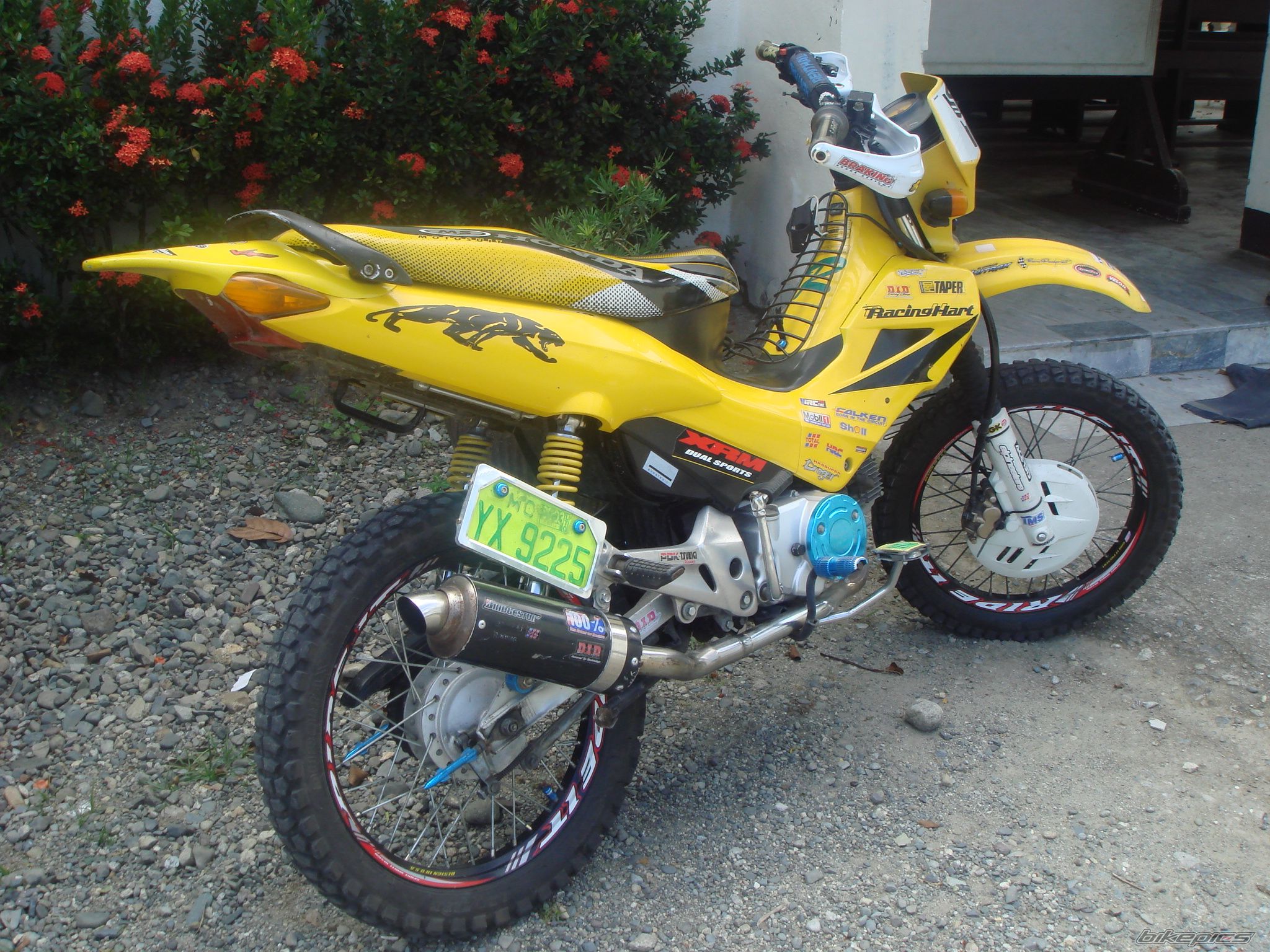 Photo 1008568