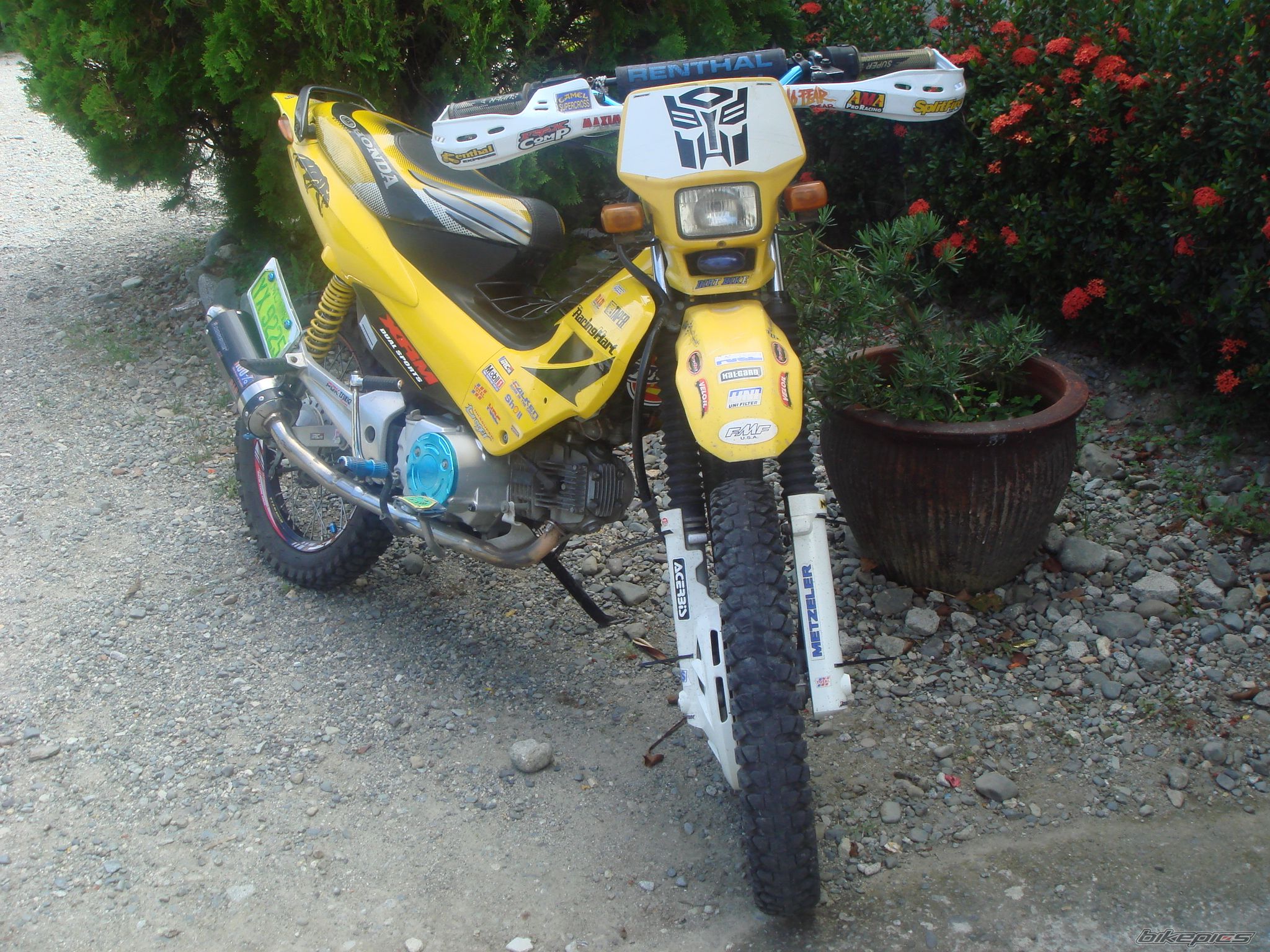 Photo 1008569