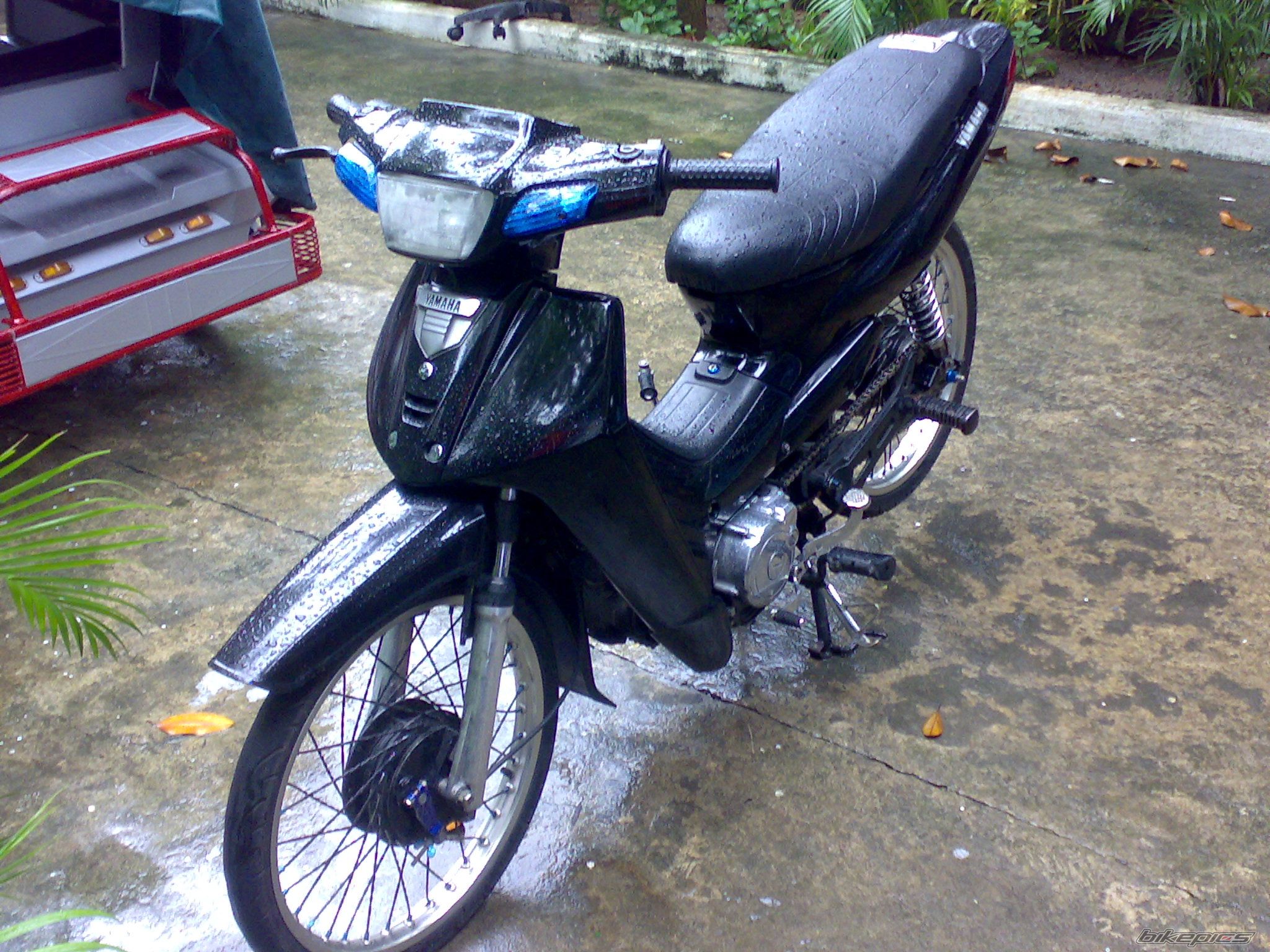 Photo 1008573