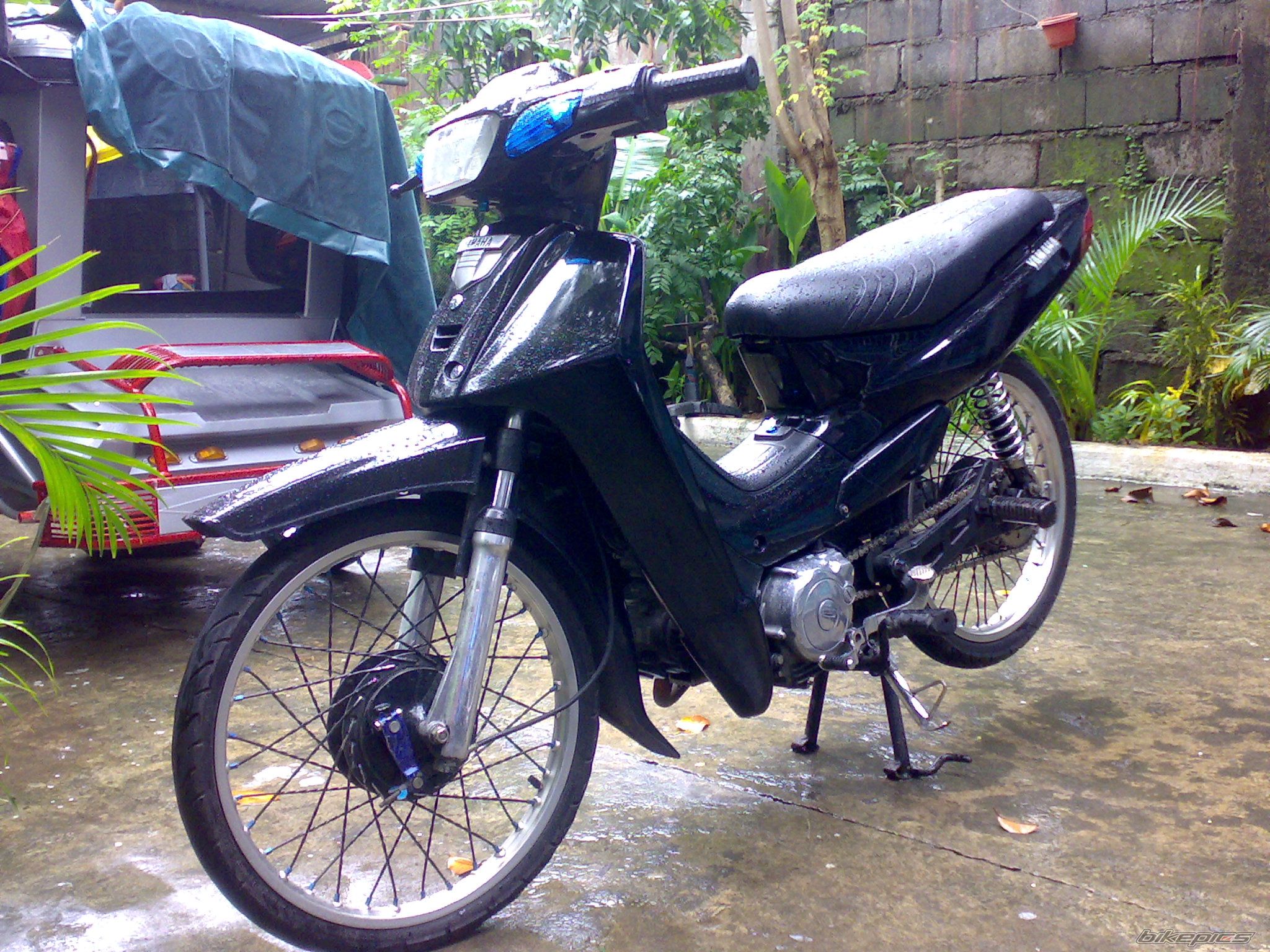 Photo 1008583