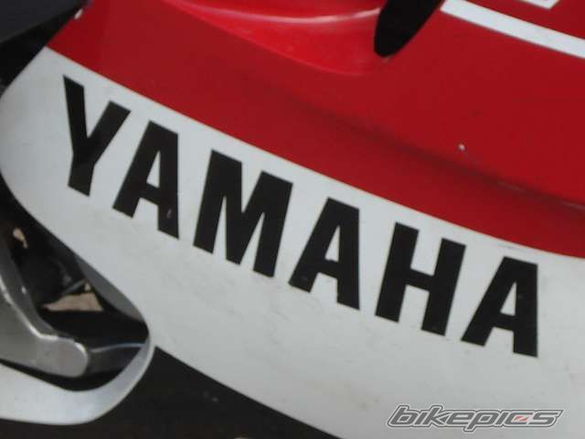Photo 1008585