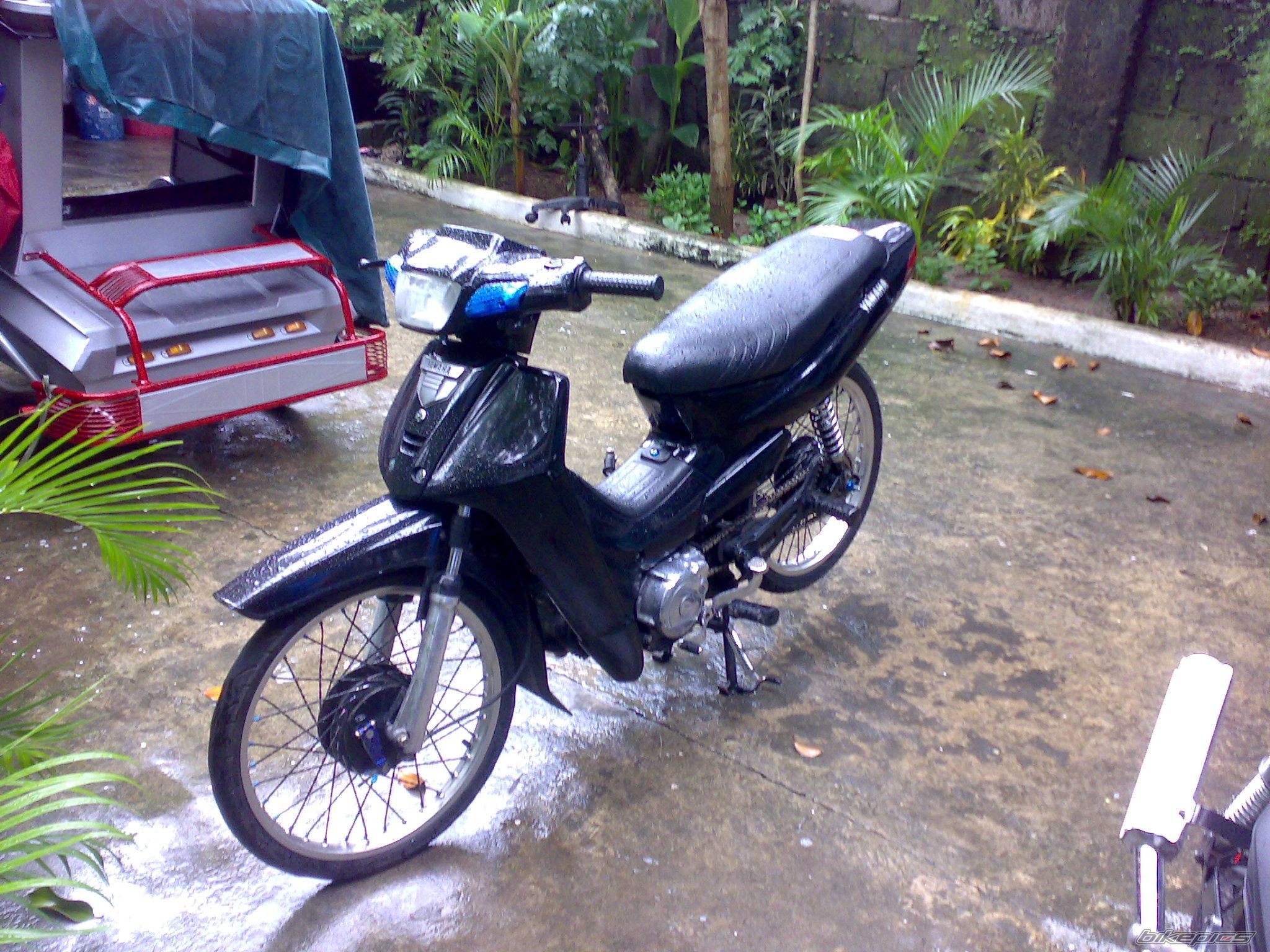 Photo 1008590