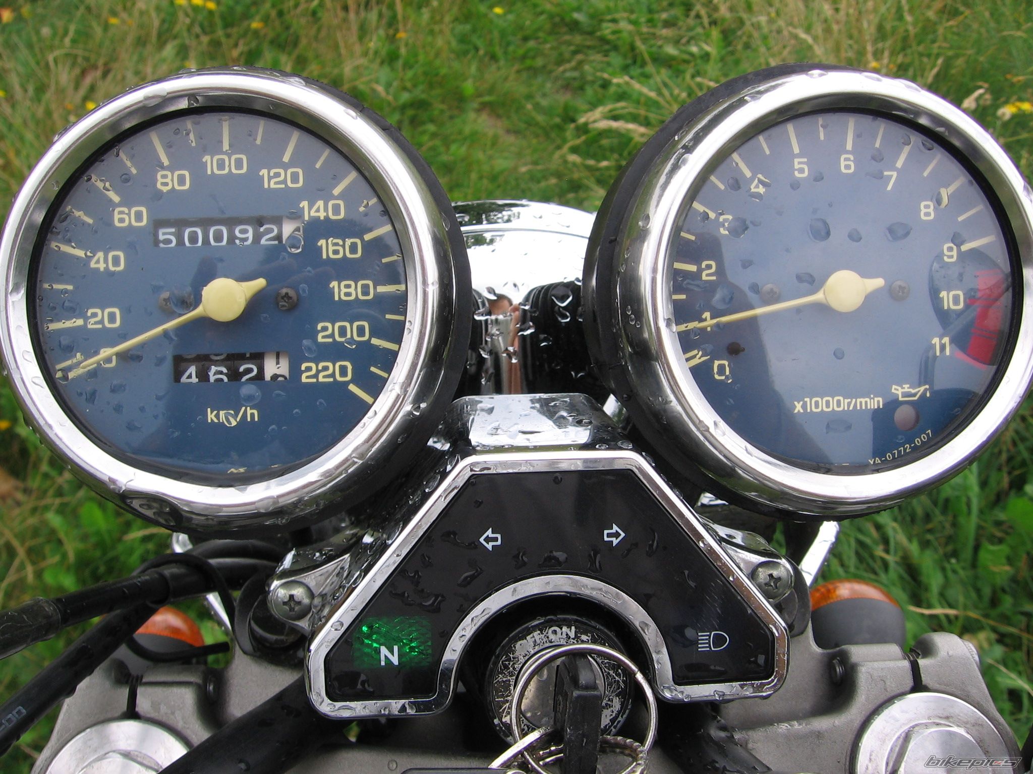 Photo 1008599