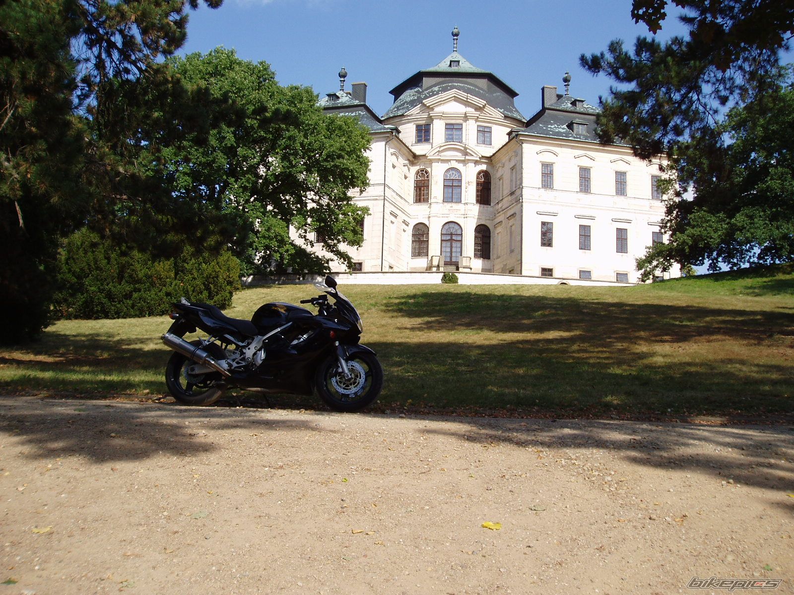 Photo 1008677