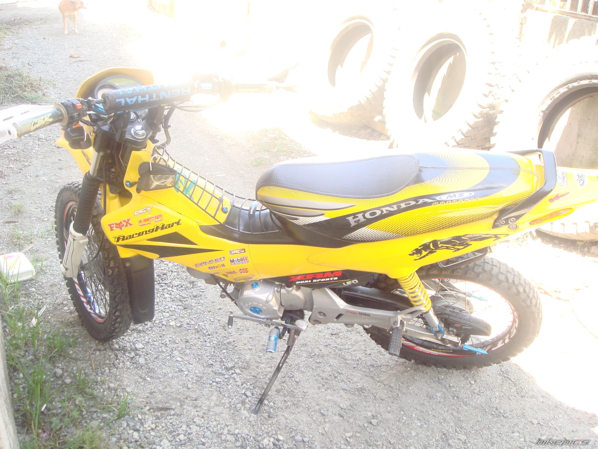 Photo 1008716
