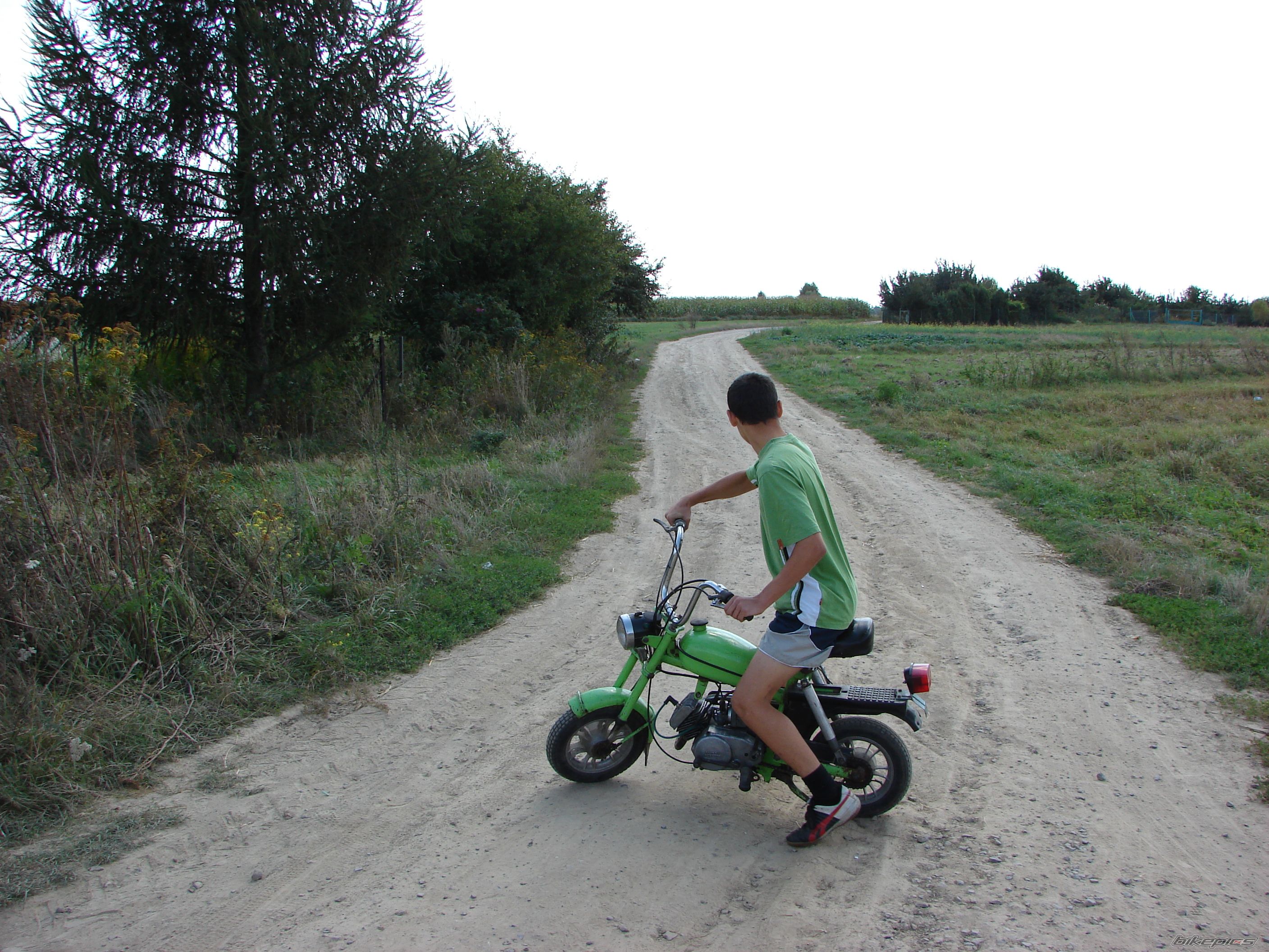 Photo 1008721