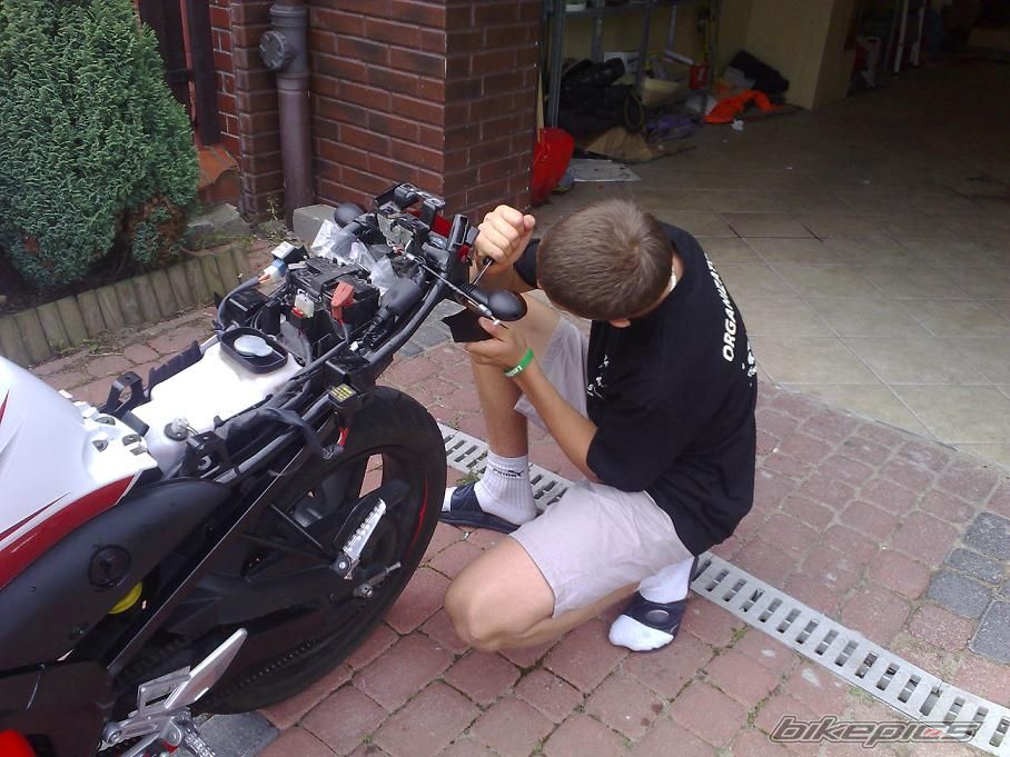 Photo 1008769