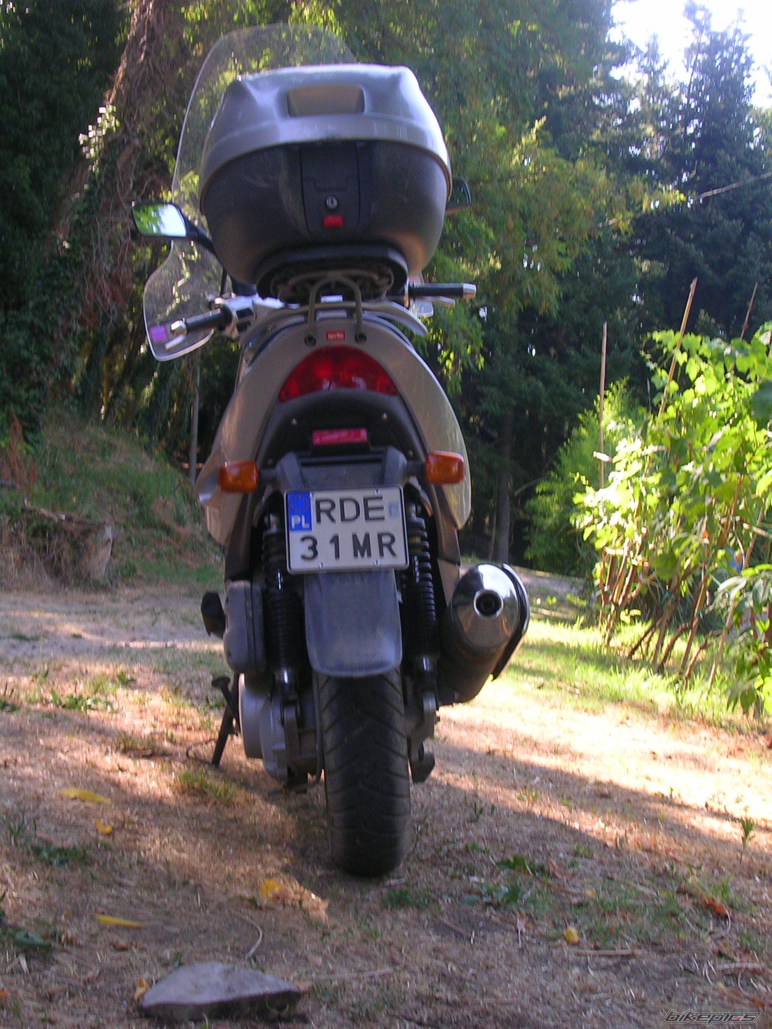 Photo 1008968