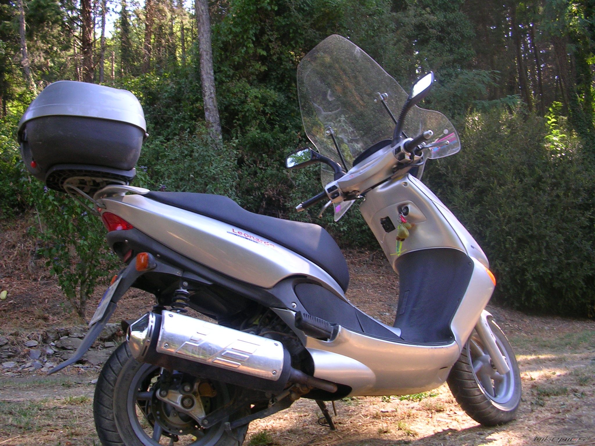Photo 1008972