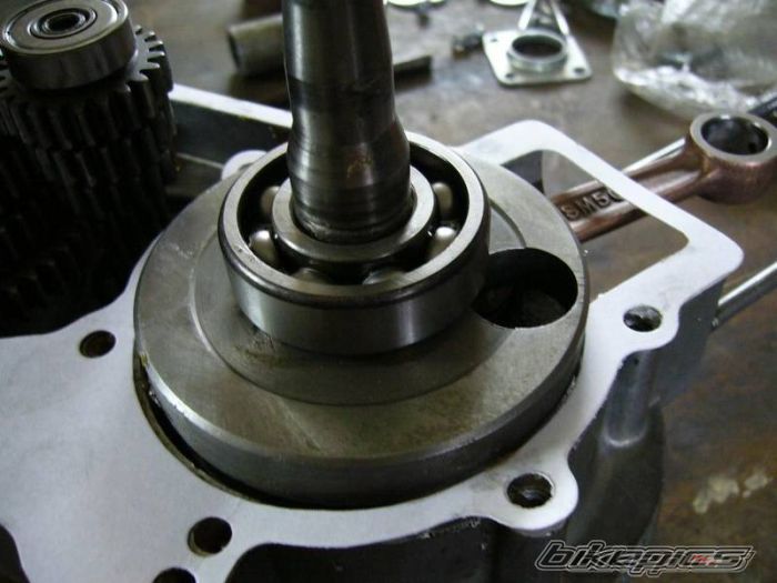 Photo 1008976