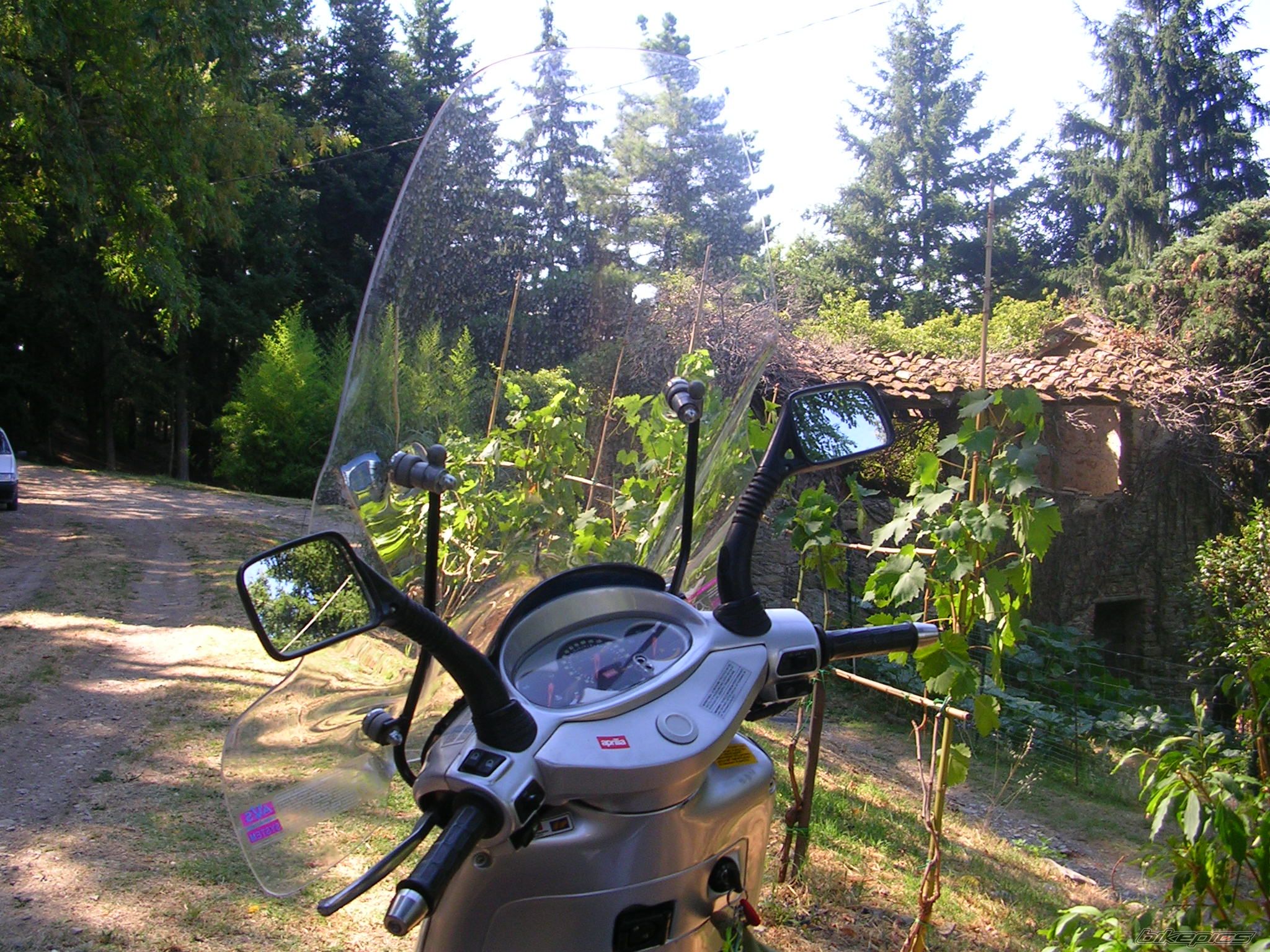 Bike Photo 1008978