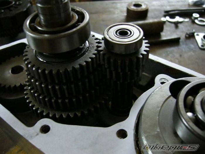 Photo 1008980