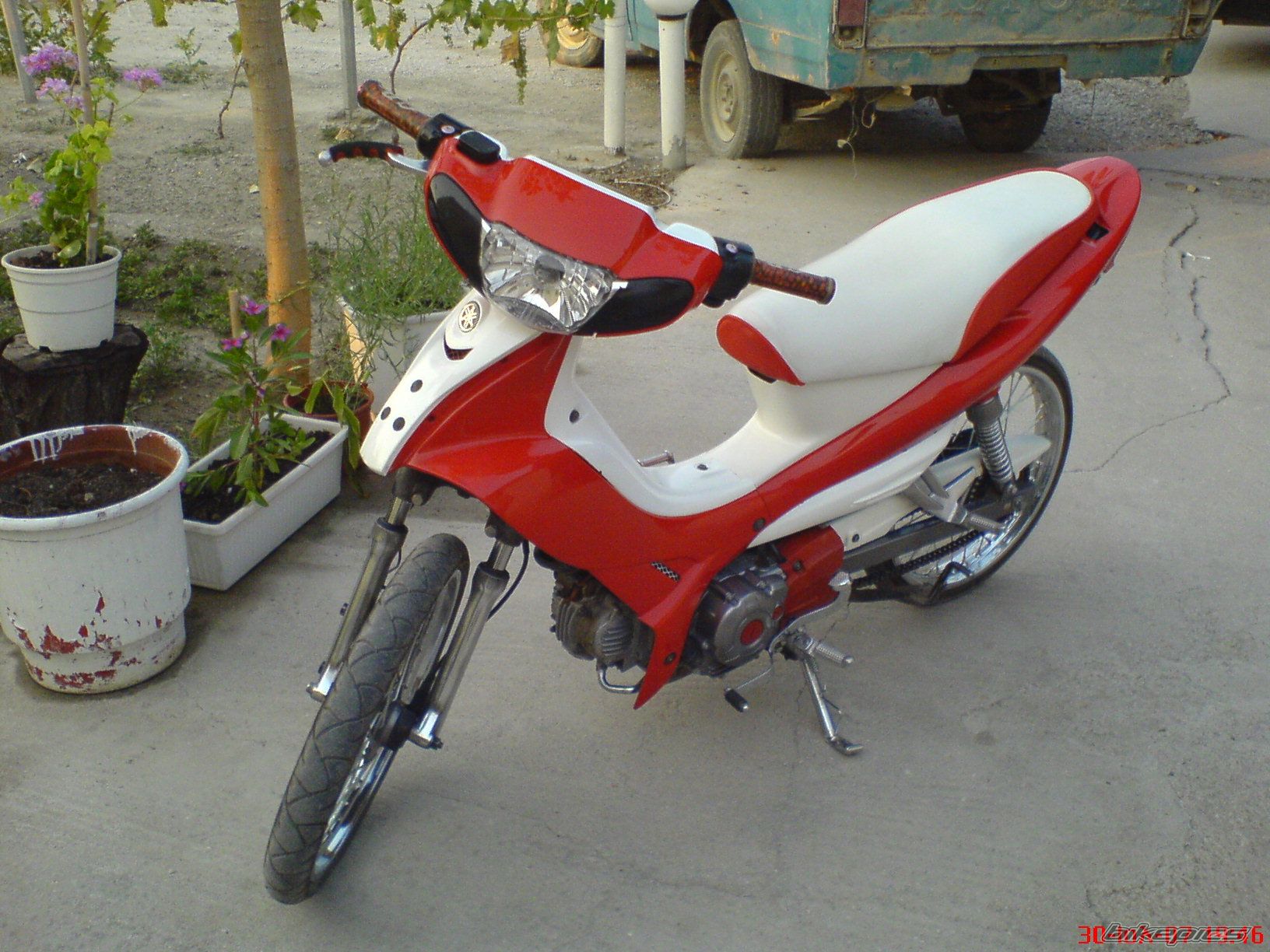 Photo 1009023