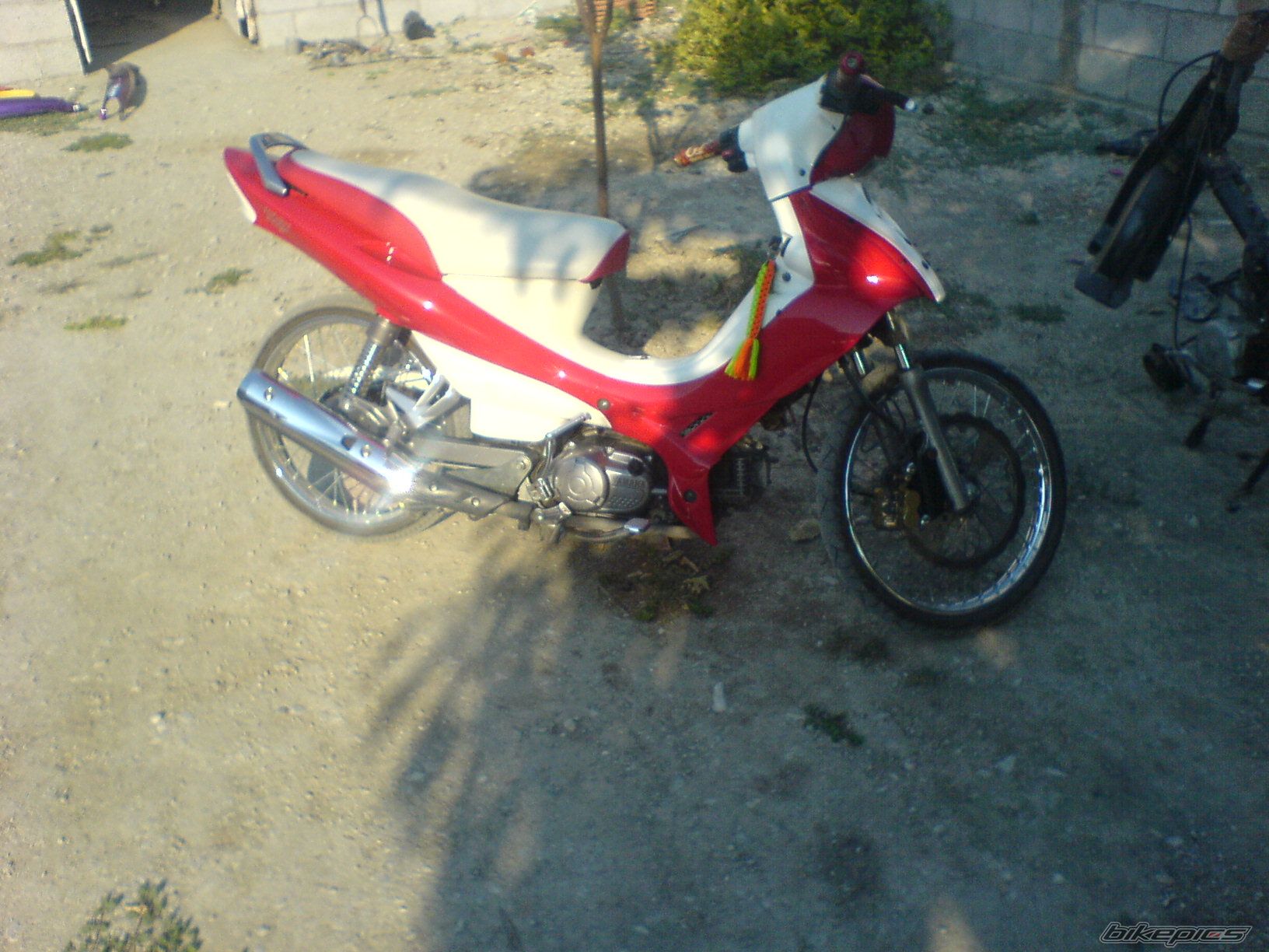 Photo 1009032